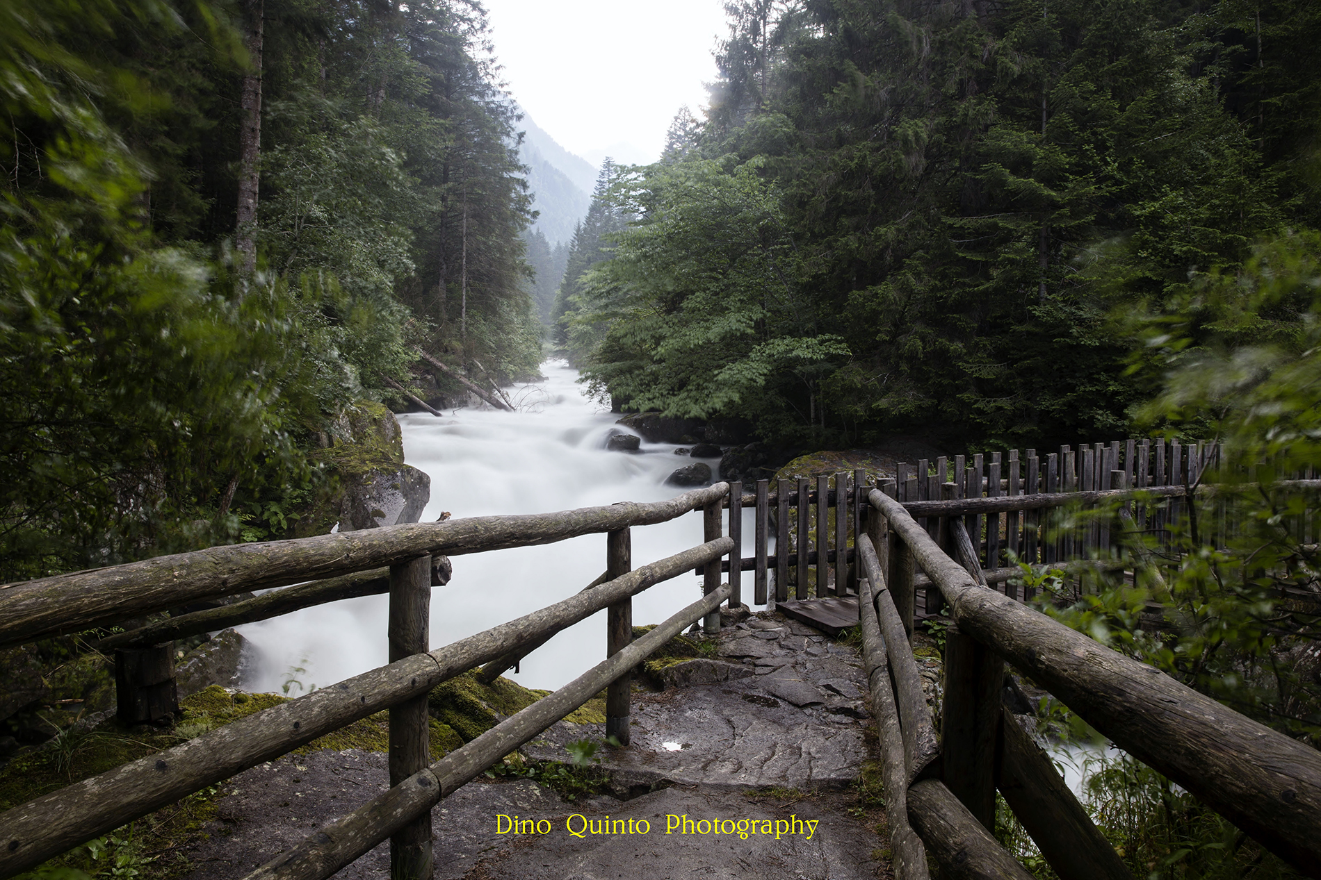 " Viaggio In Trentino "