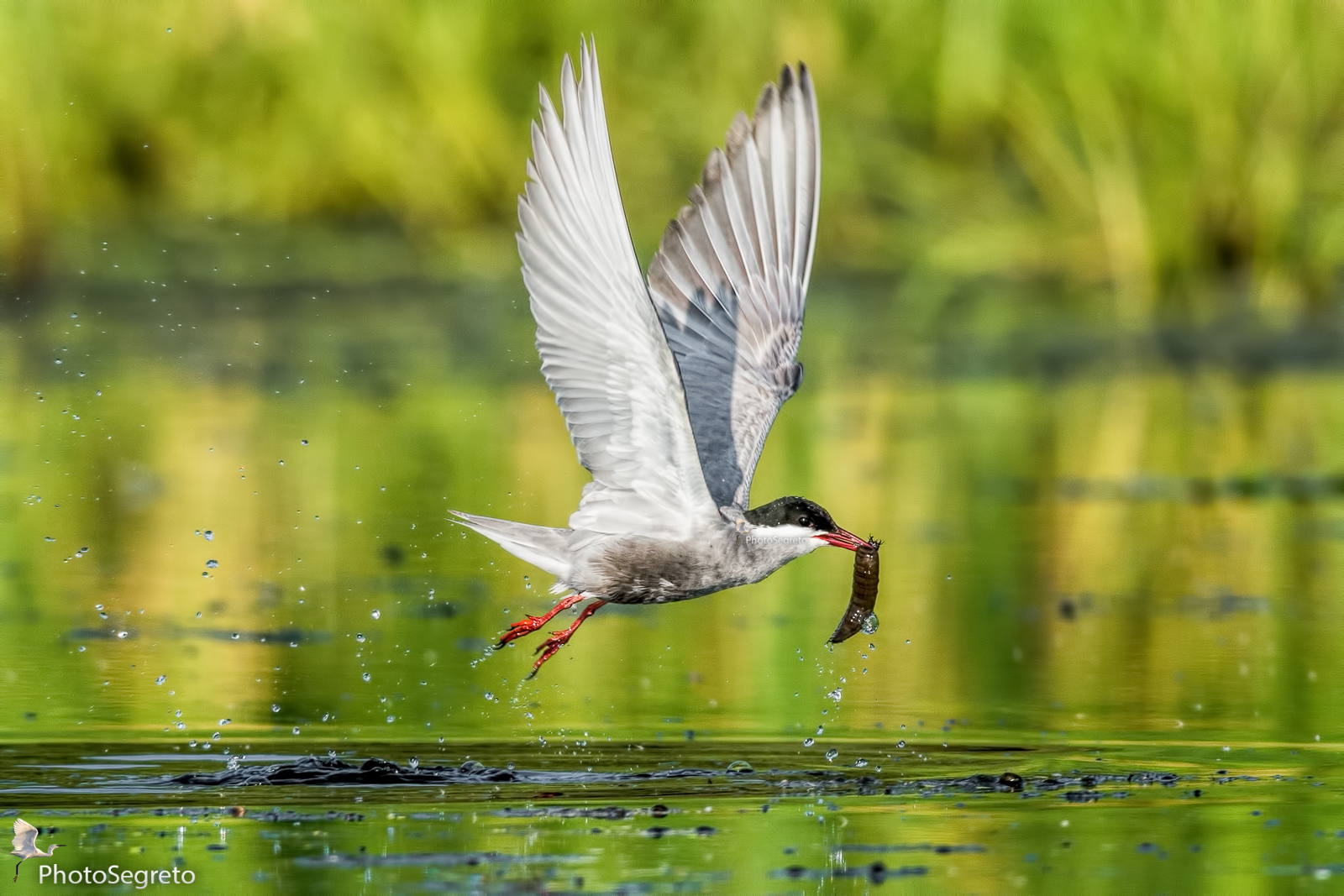 Colazione abbondante!