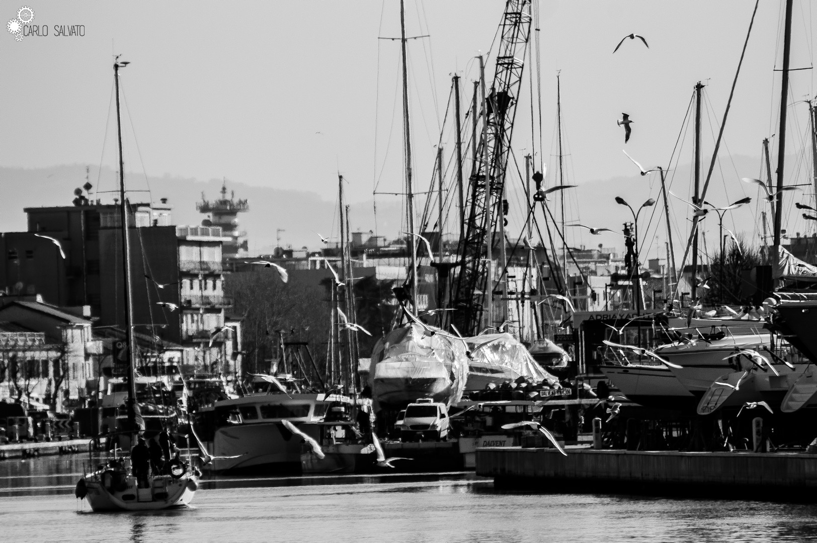 Rimini's port - Port of Rimini