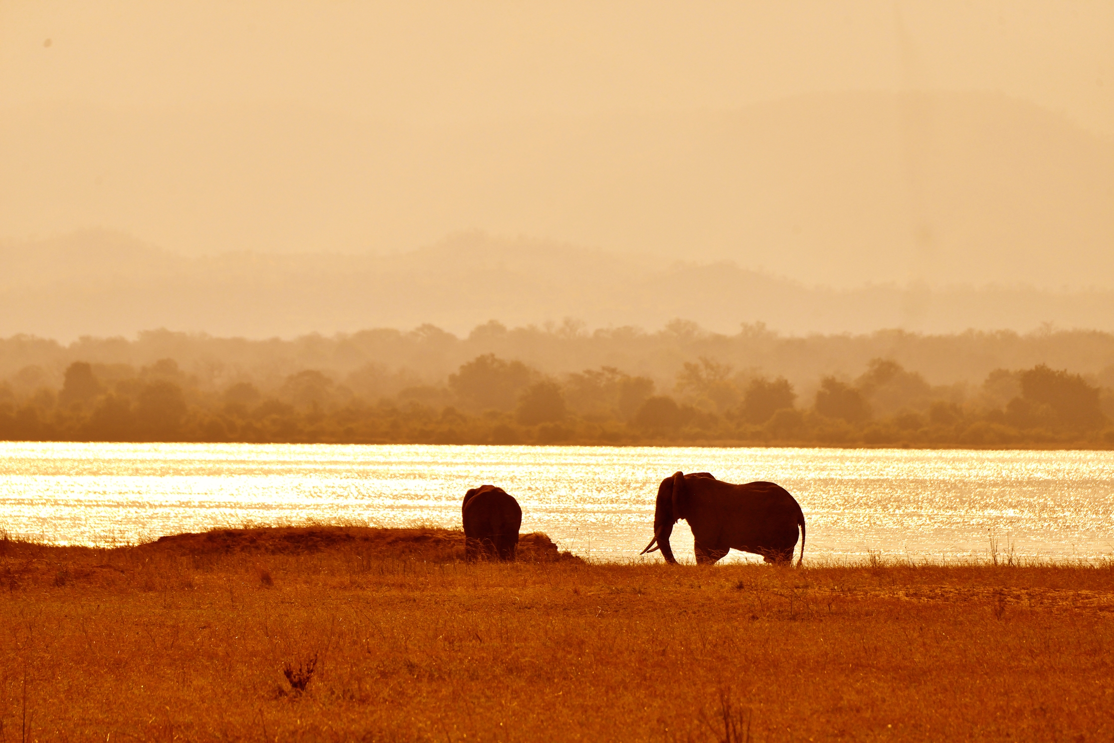 Zimbabwe 2015 - Al tramonto sul Zambesi river