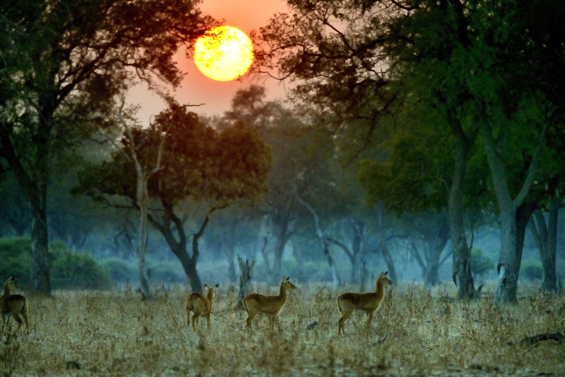 Zambia 2015 - All'alba