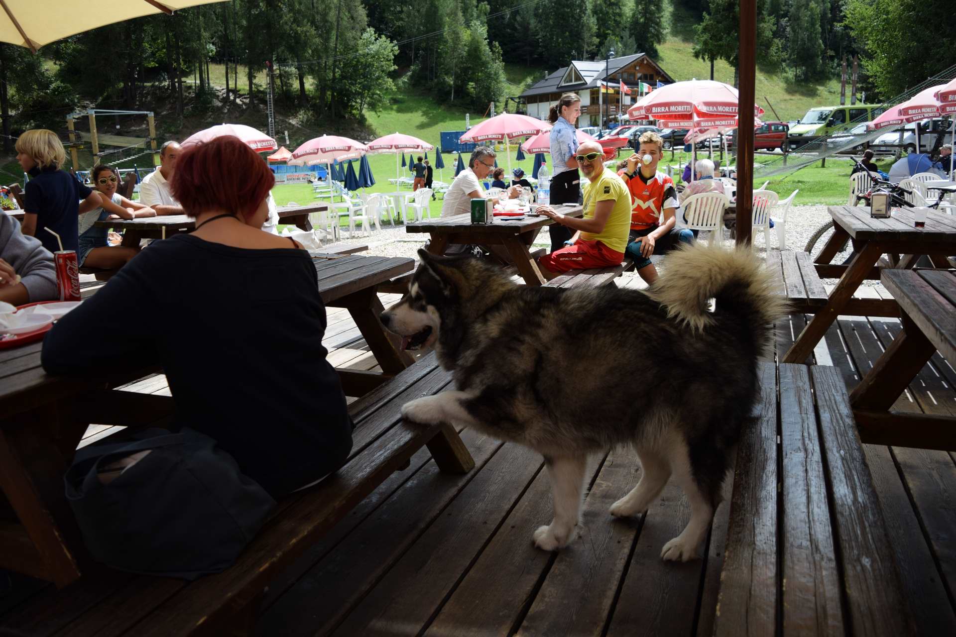 ...allora vengo io...