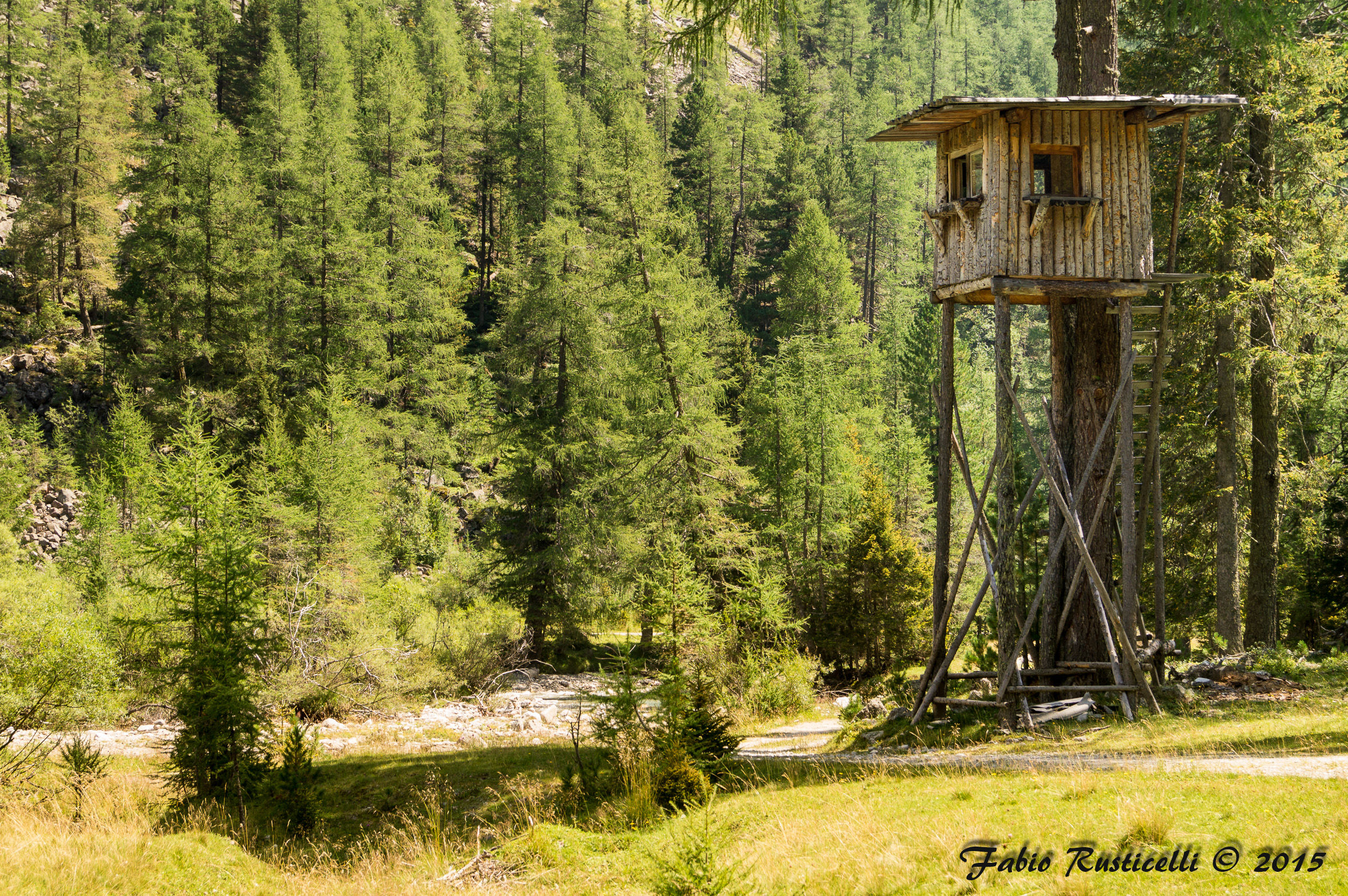 Birdwatchers, where are you?