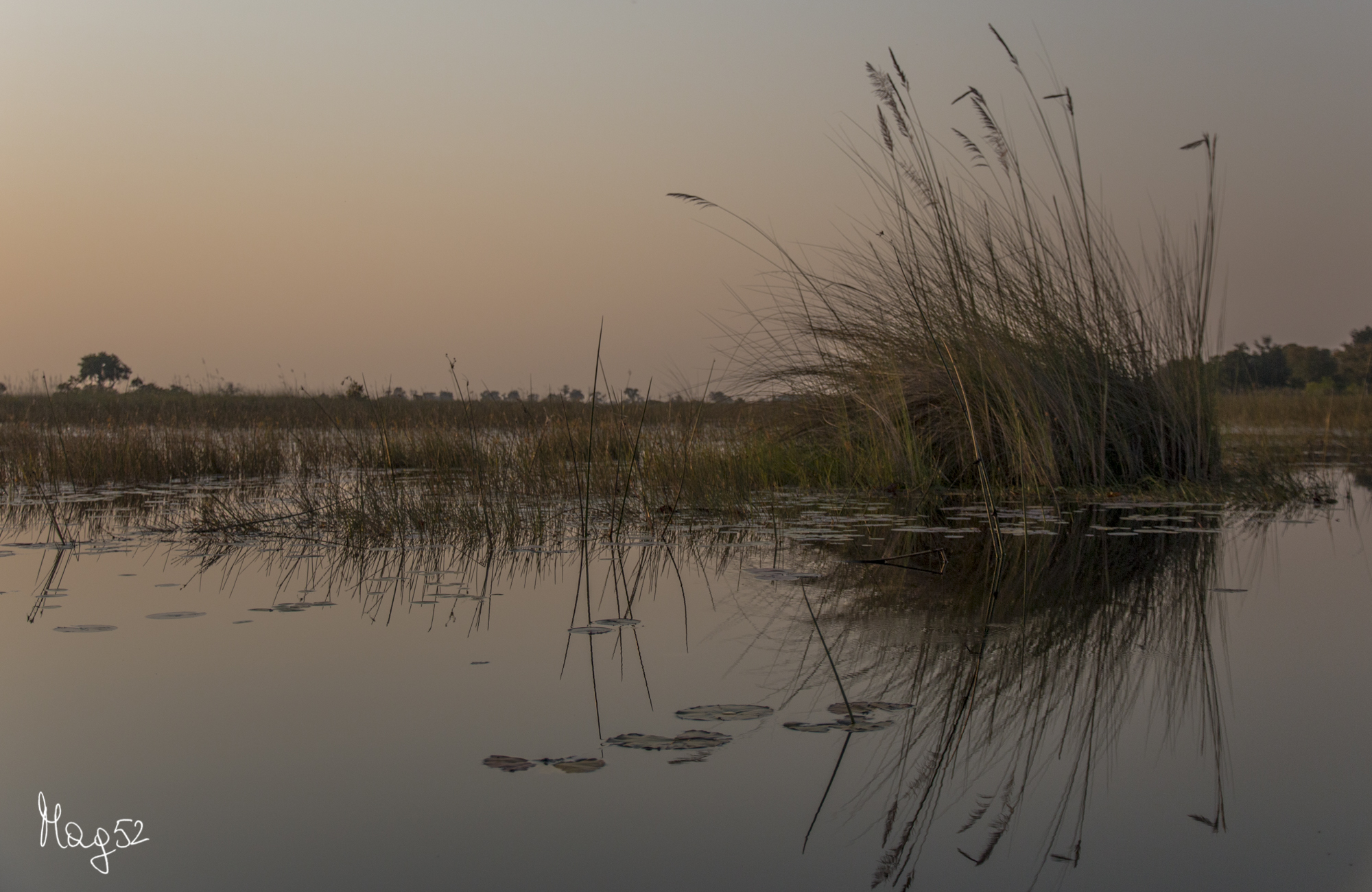Delta ddell'Okawango-Botswana