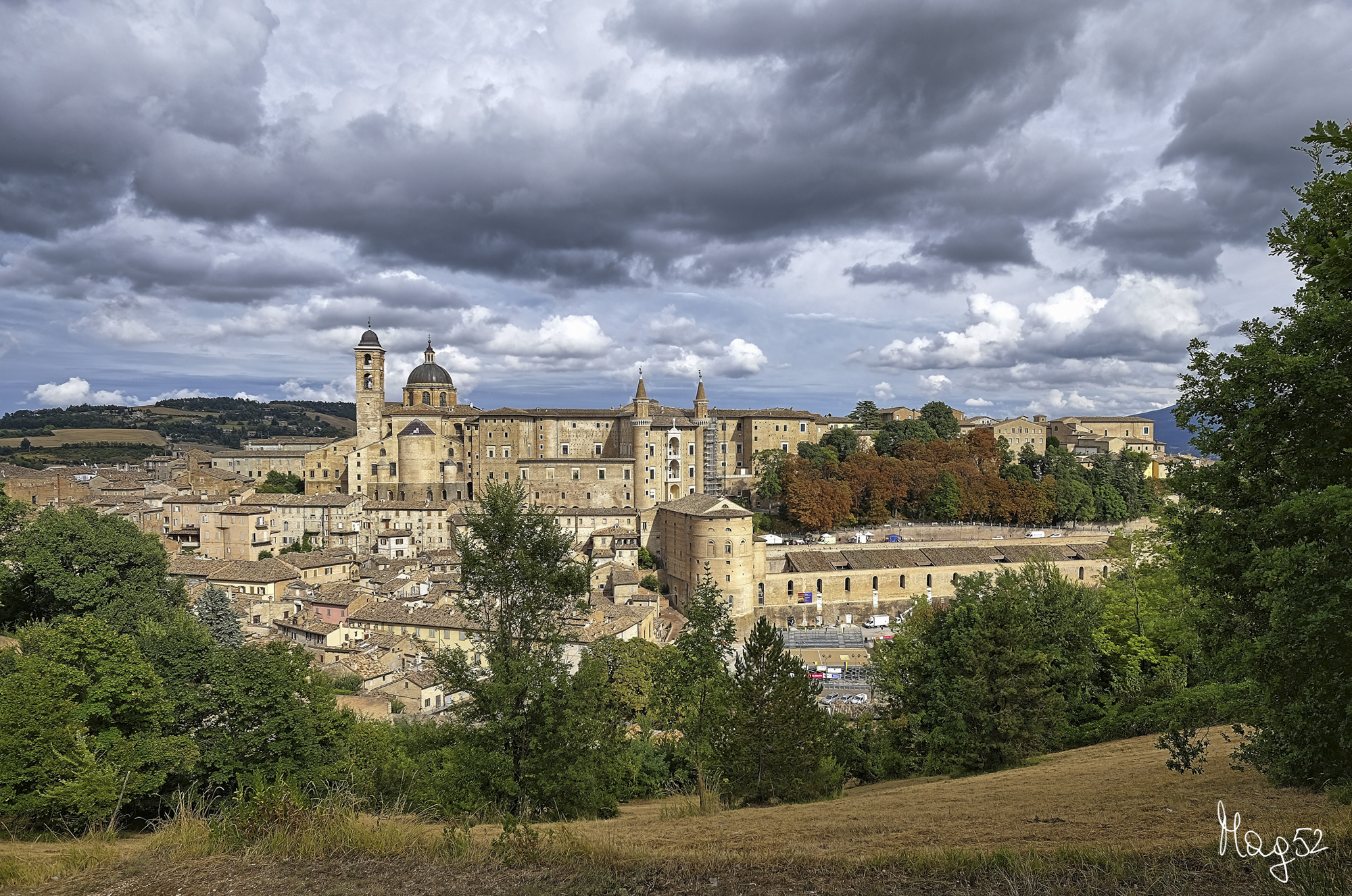 Urbino