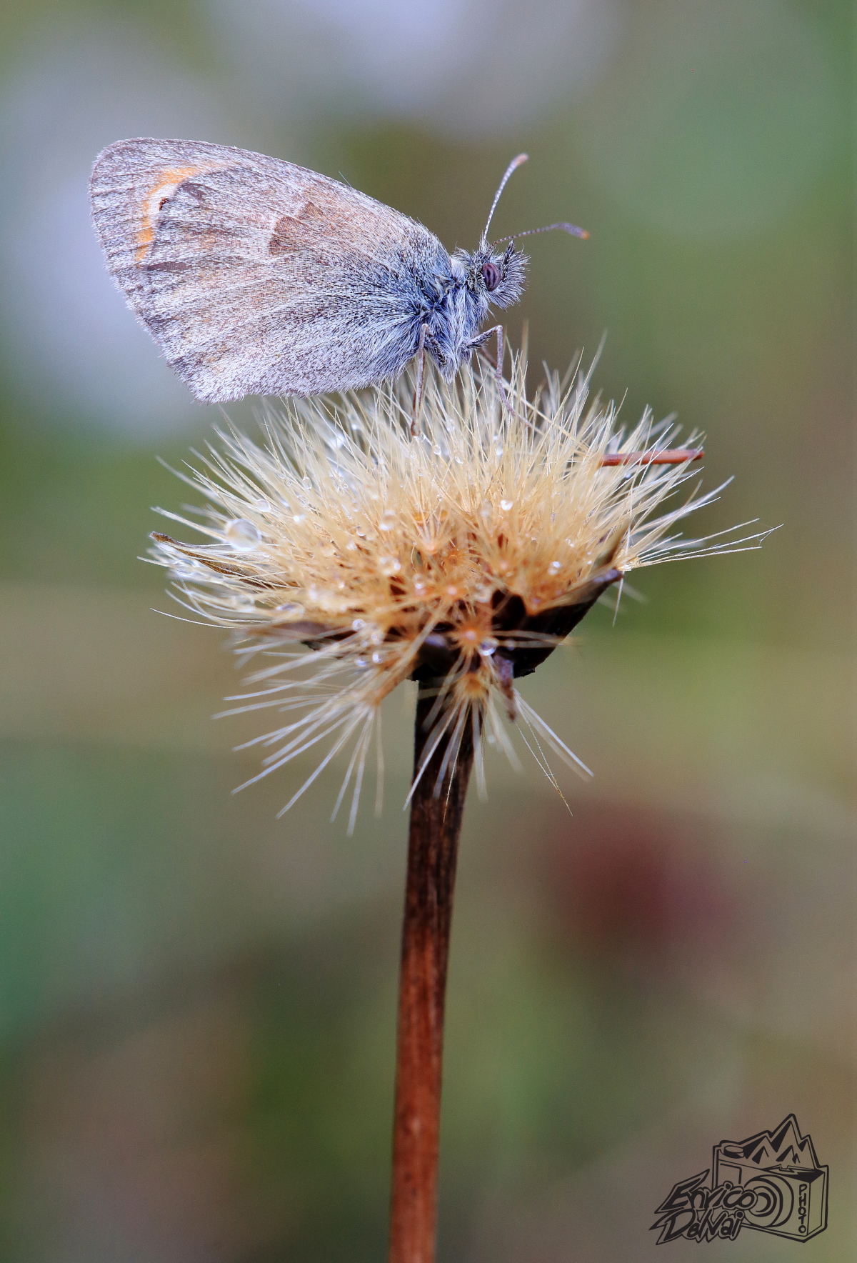 La spettacolare definizione del 180 sigma con la 6 D