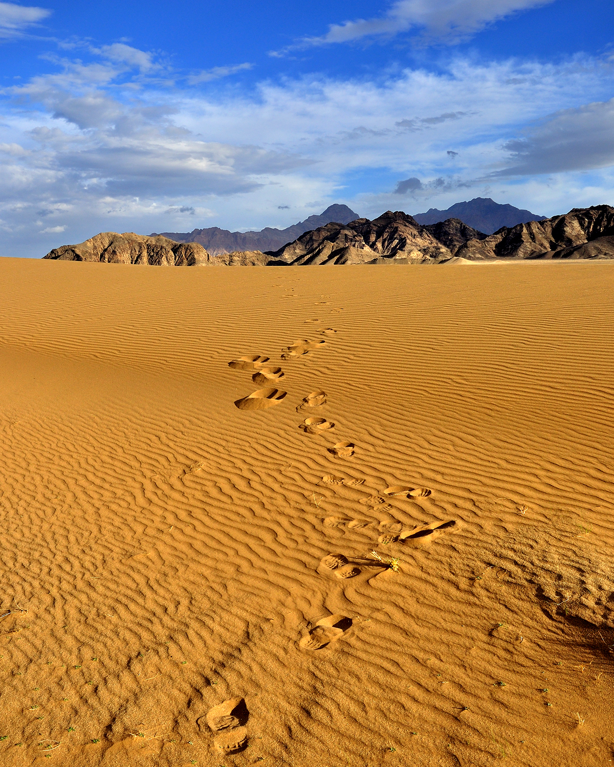 Iran, deserto all'ora di pranzo
