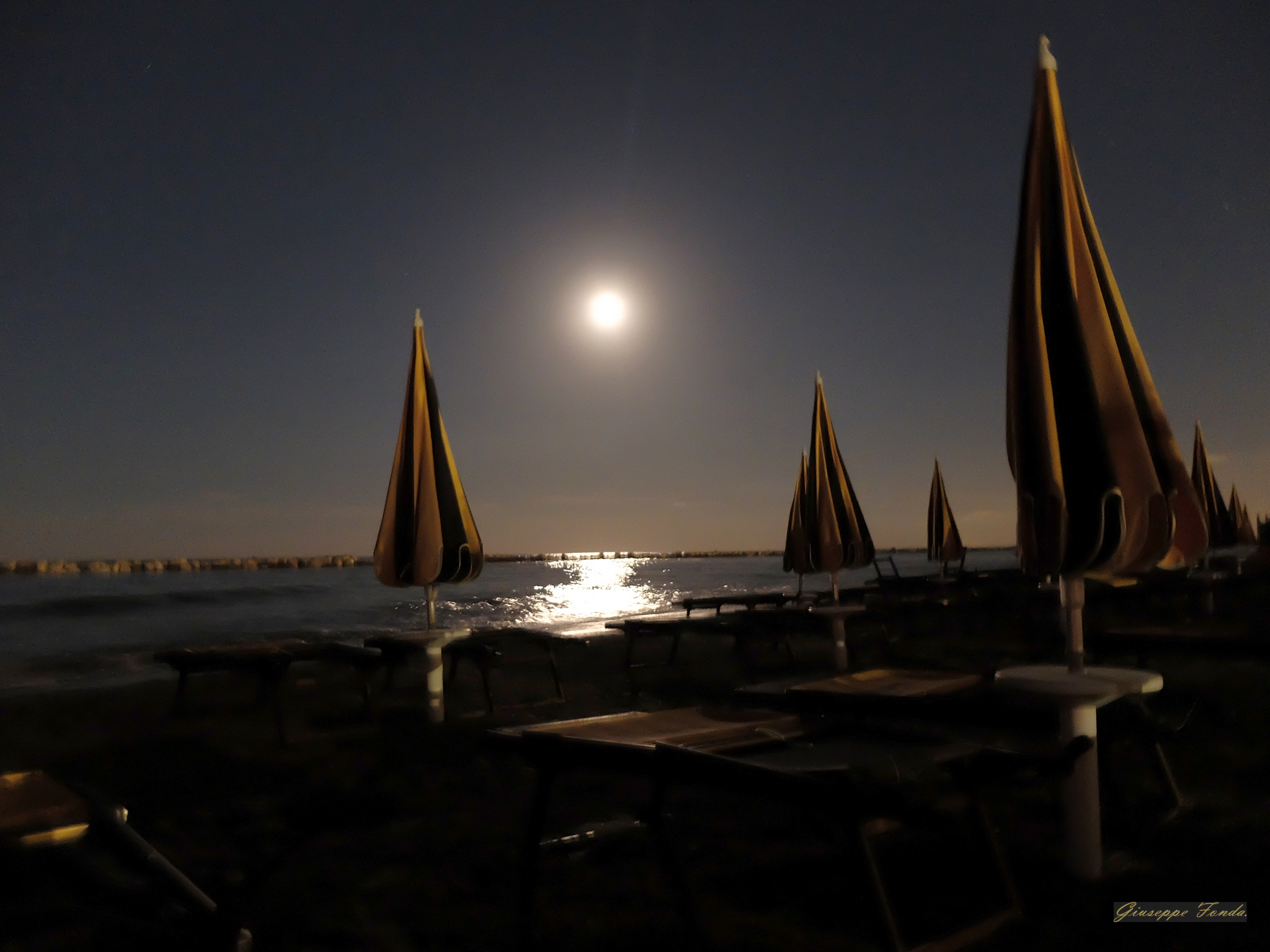 mute sentinels in the night