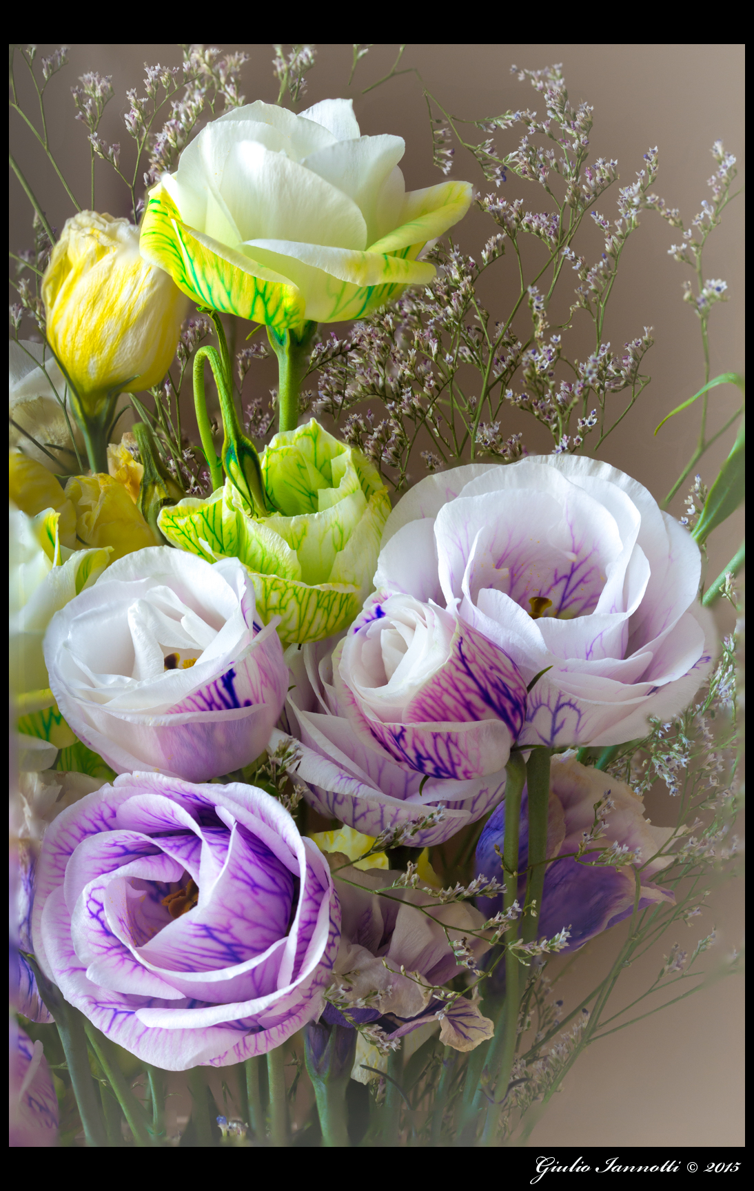 Prova Focus Stacking