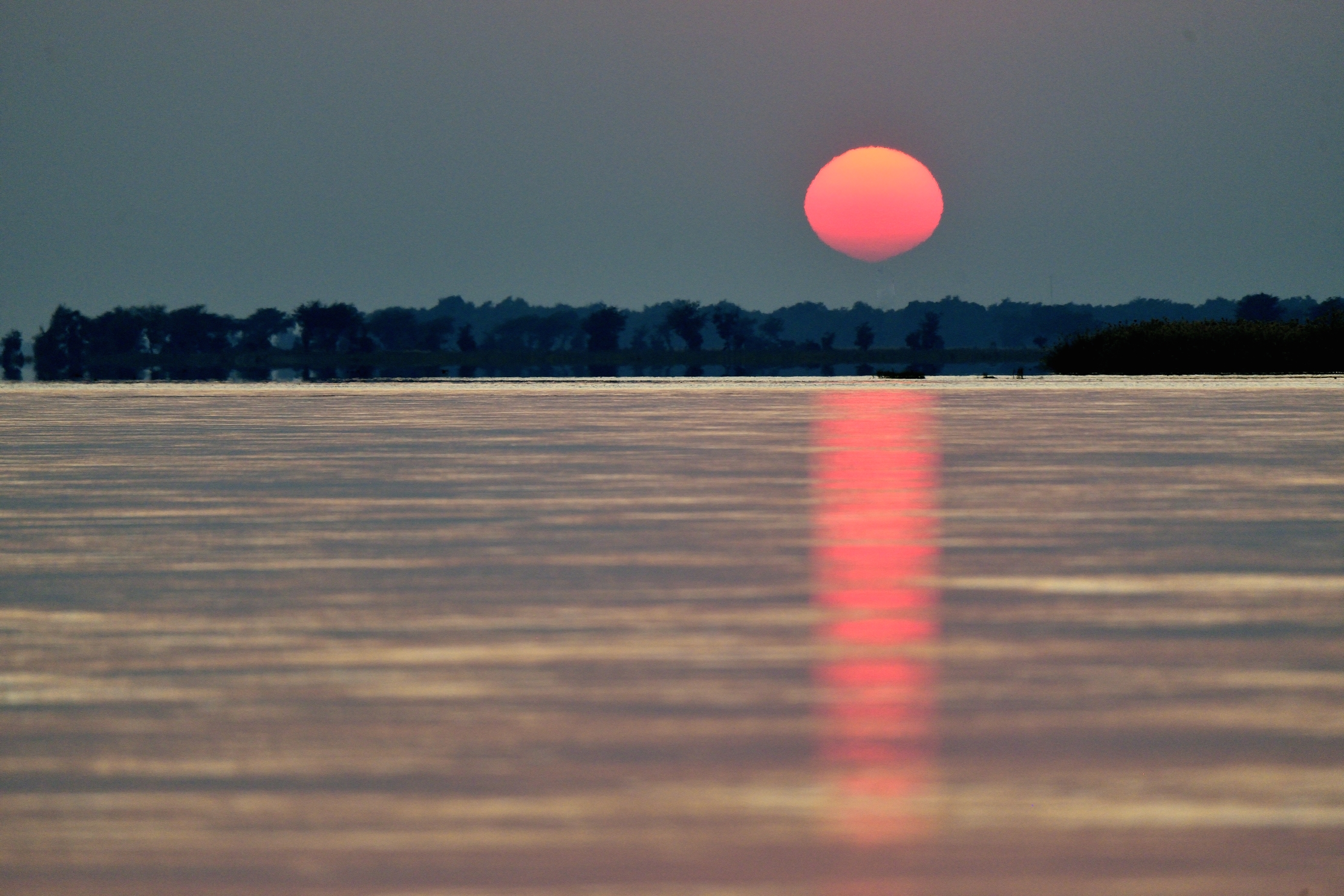 Zambia 2015 - Alba sul Lower Zambesi