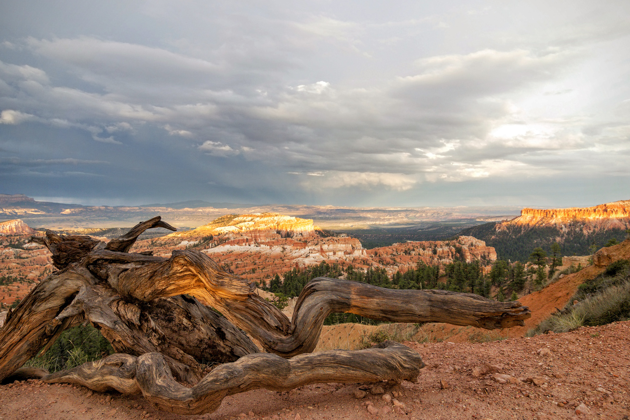Bryce Canyon