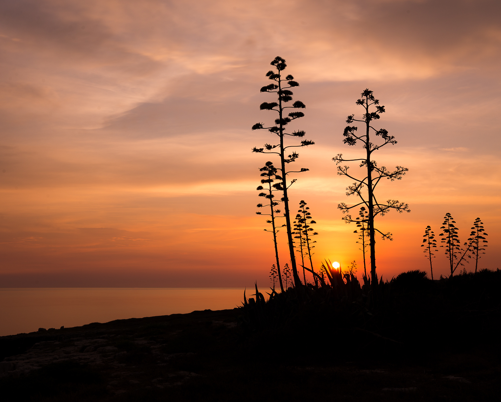 Sunset in pastel colors
