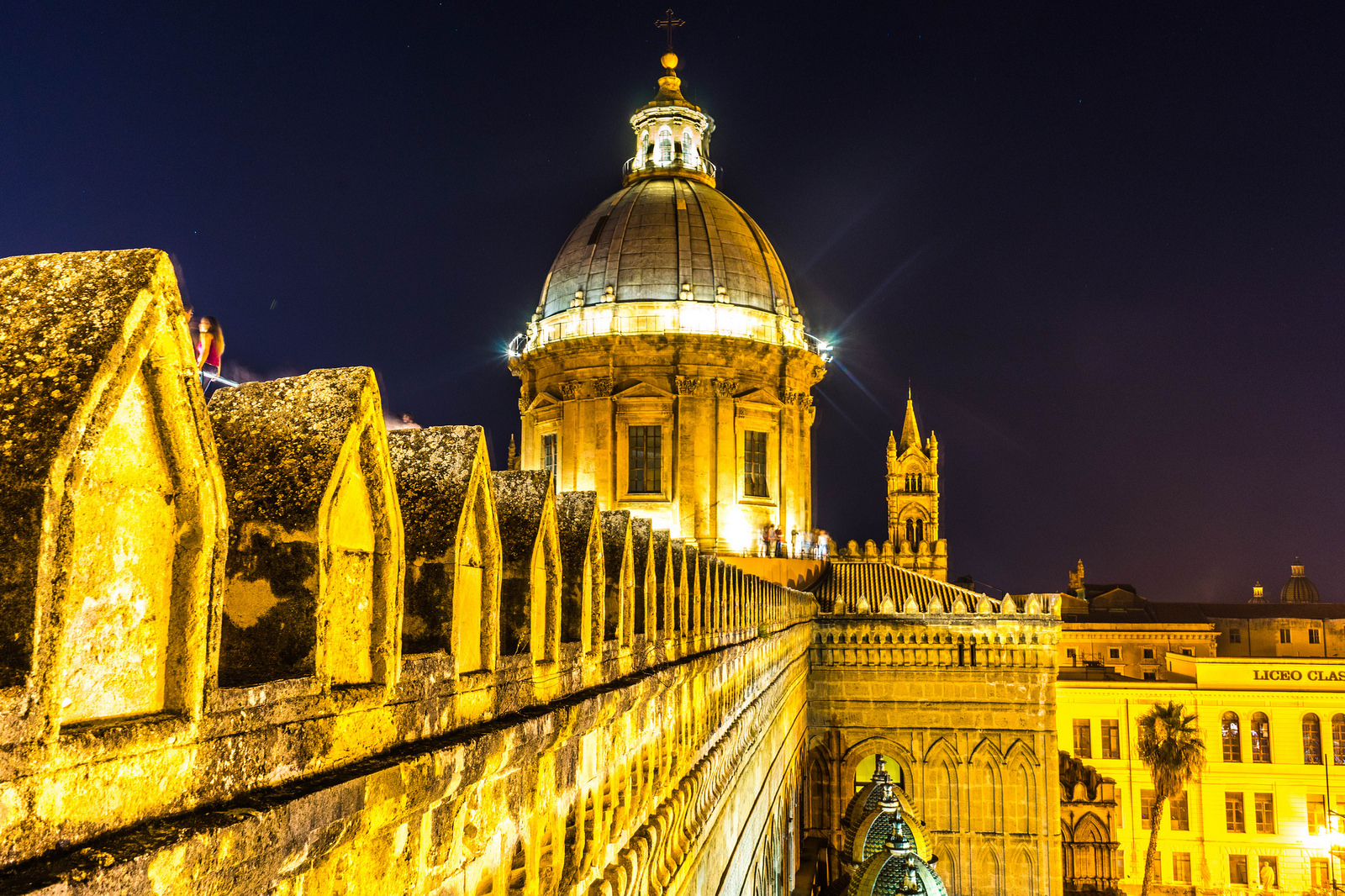 Palermo roofs of the cathedral