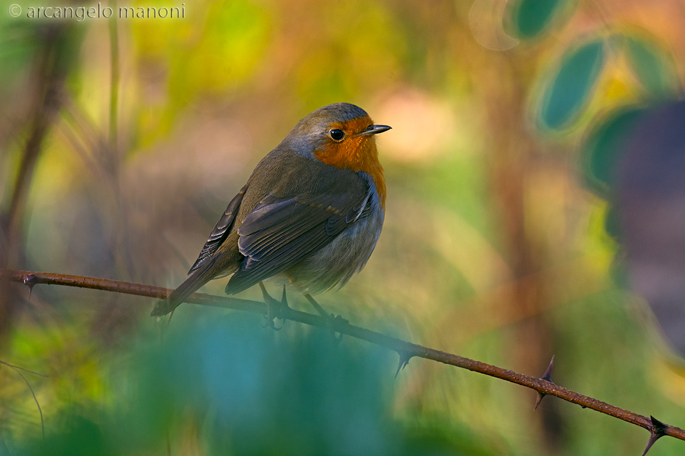 That day I appeared so