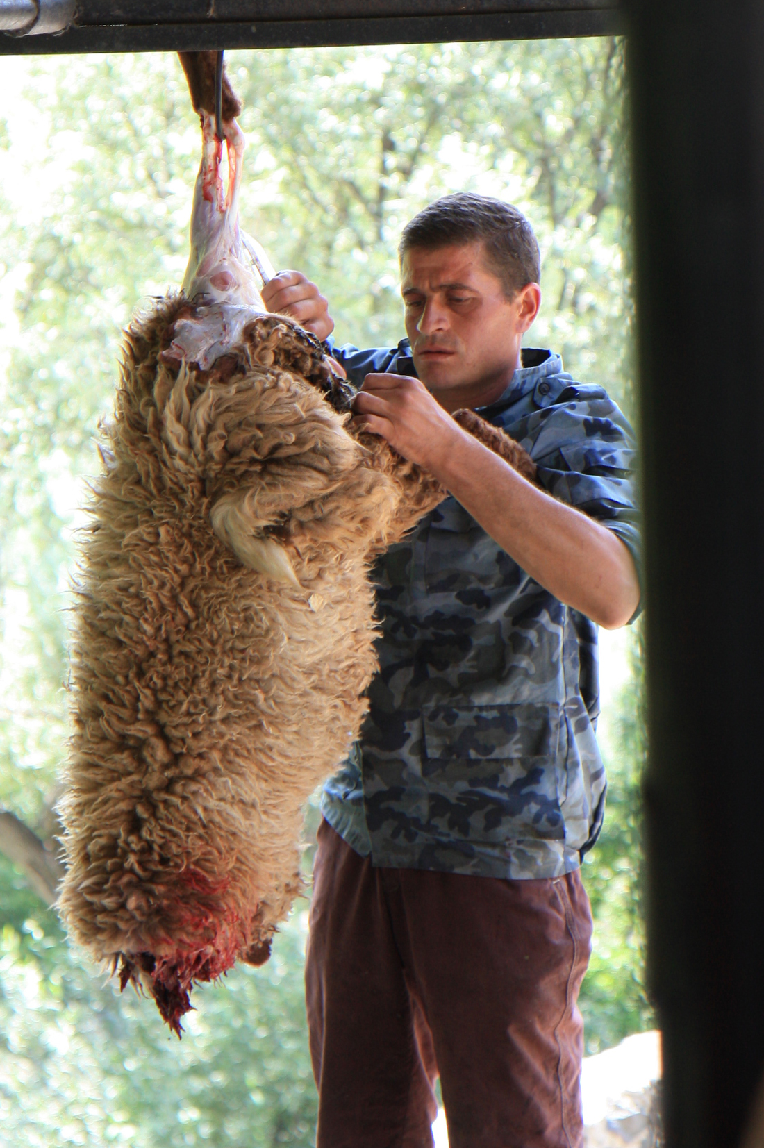 Monastero Geghard sacrificio animale