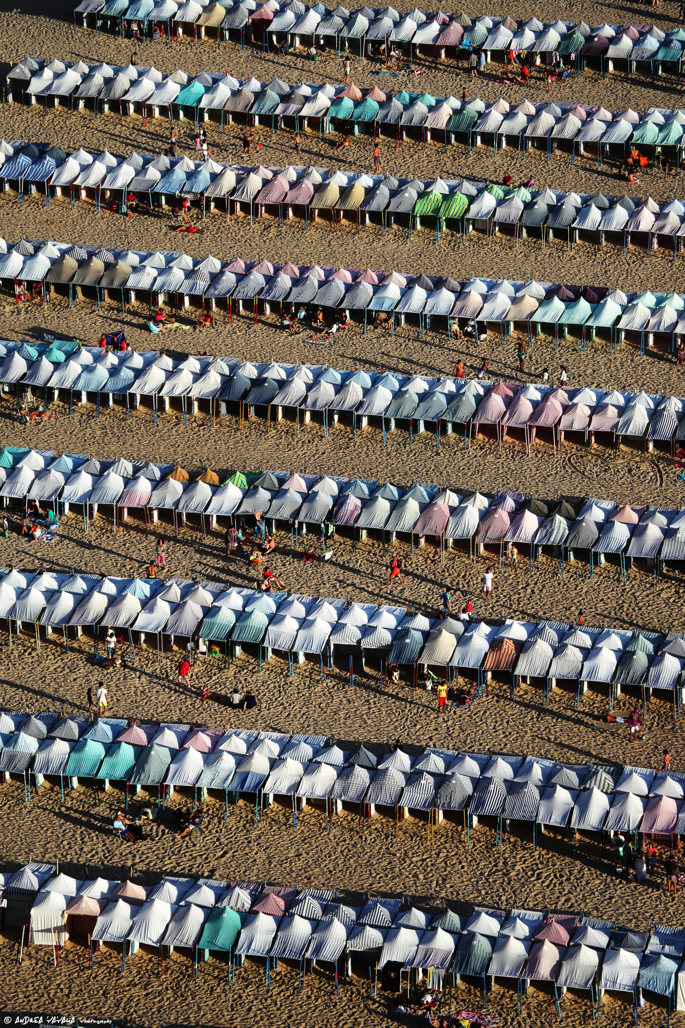 Tanti, piccoli, organizzati.. e tutti unici