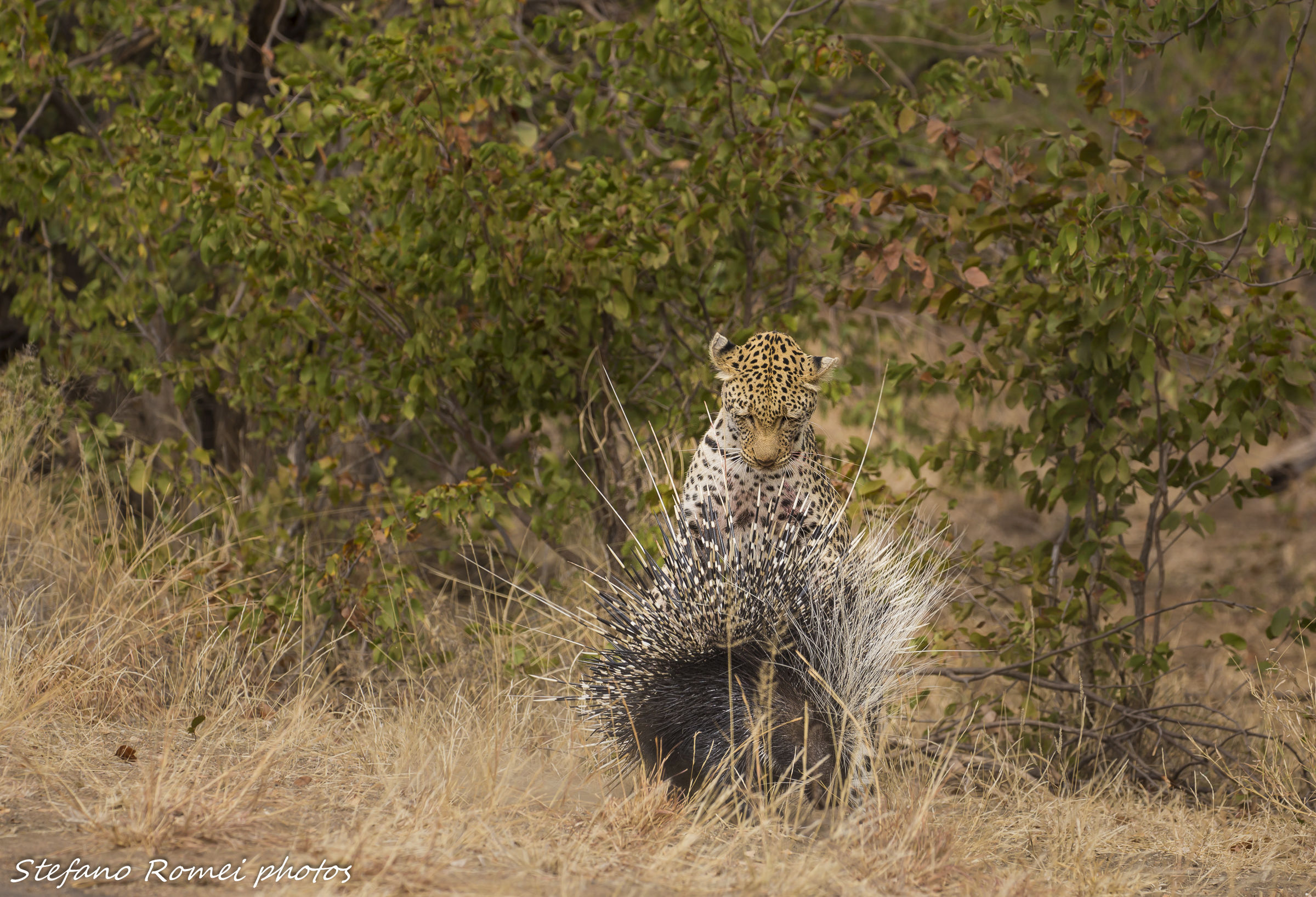 questo è un errore...