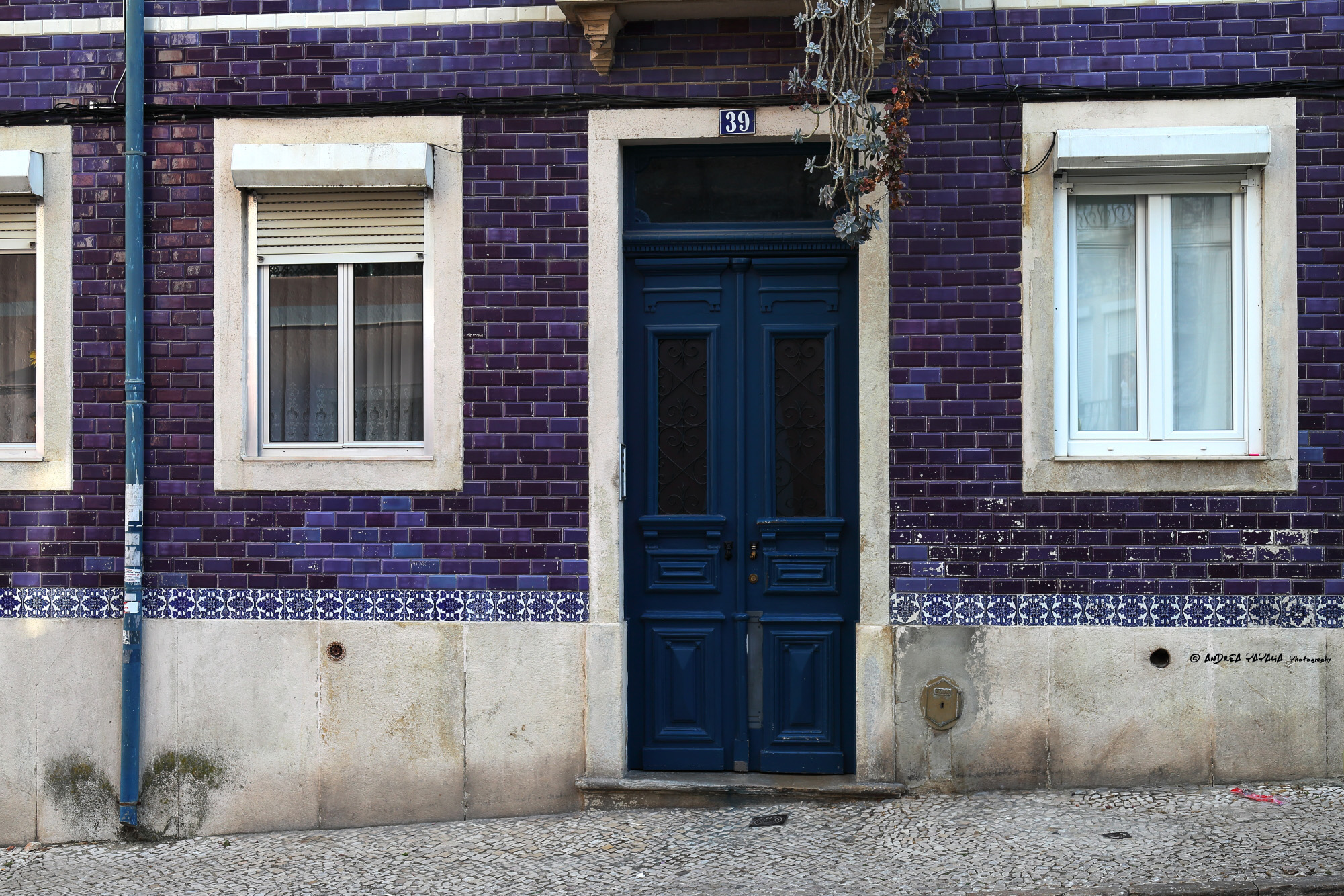 Piastrelle colorate nei cromosomi del Portogallo