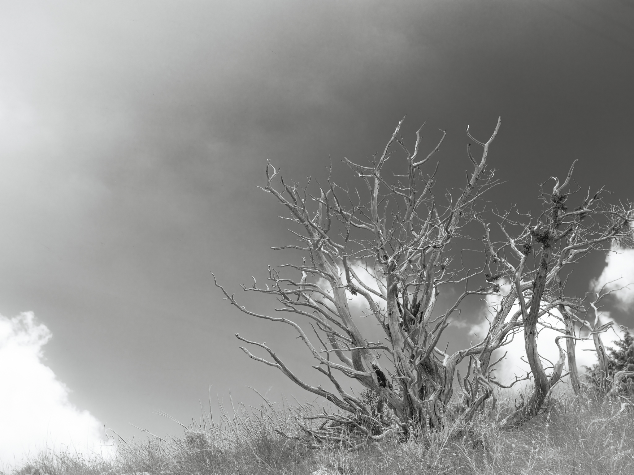 Civita (cs) - T.Porace