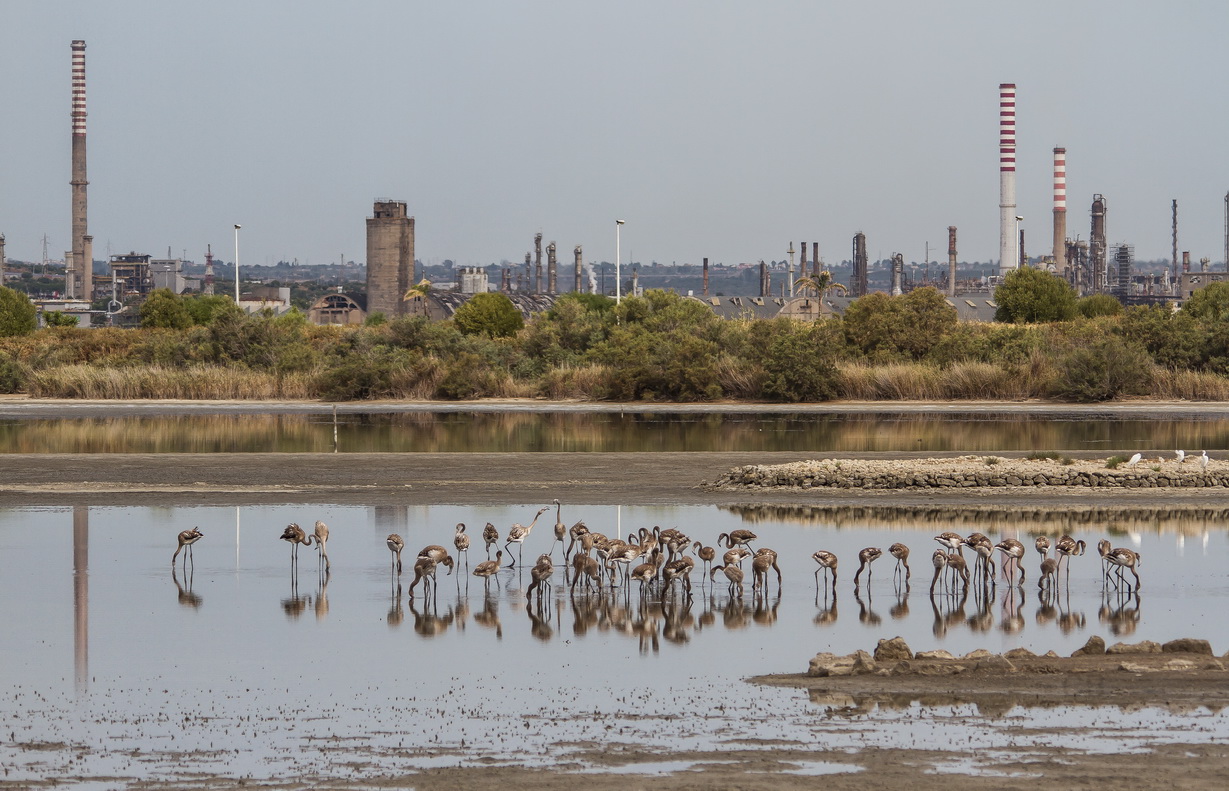 An oasis between the chimneys