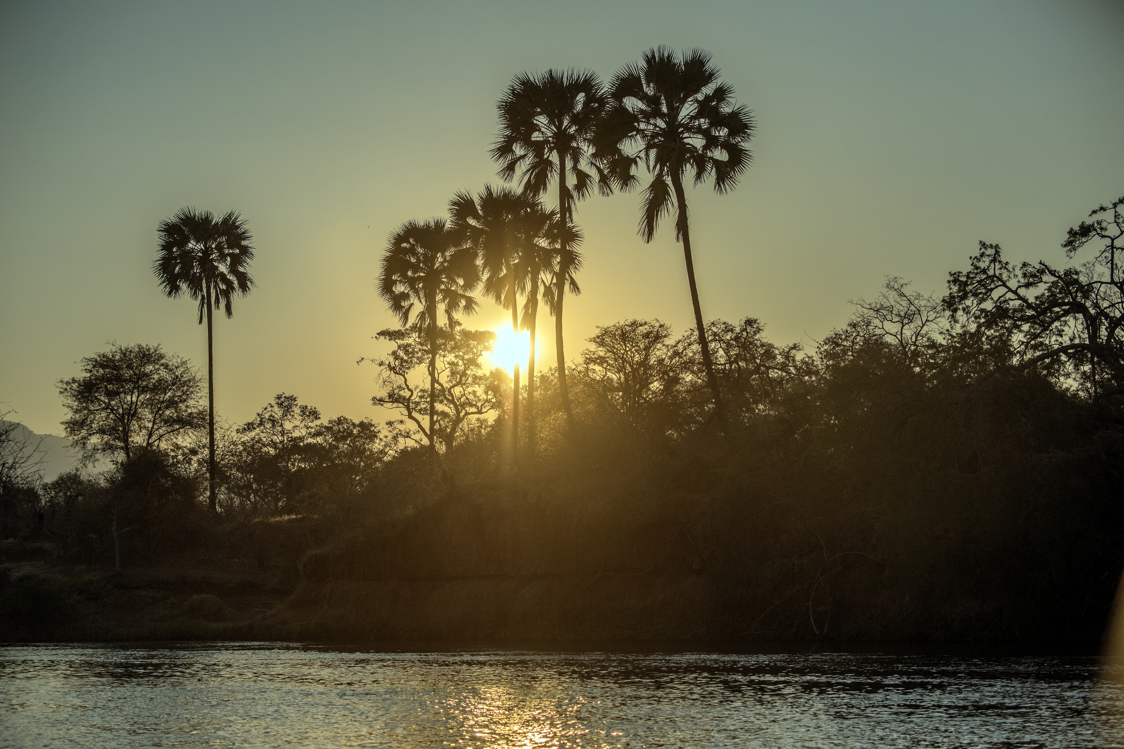 Zambia 2015 - Sul Lower Zambesi