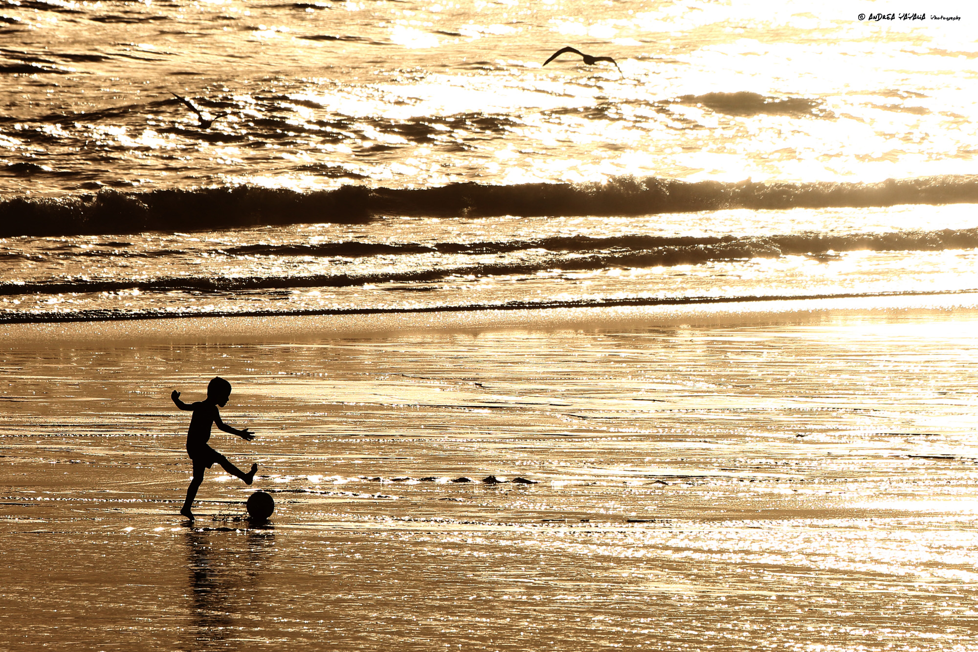 Un battito d'ali e tanta gioia di vivere...