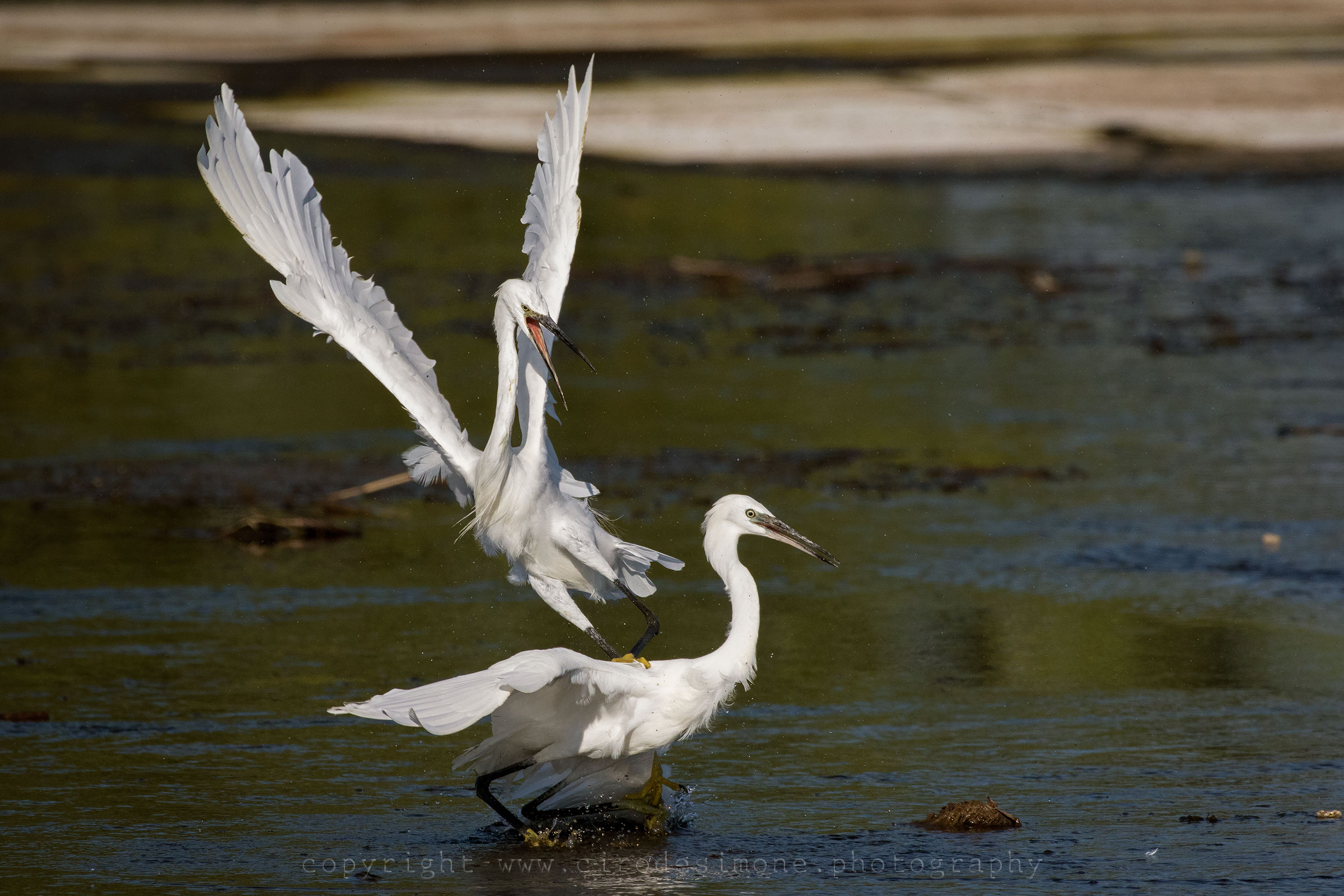 Attacco a tradimento