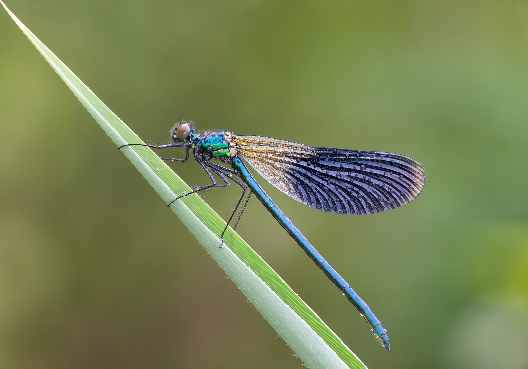 Tutto parte da un angolo...