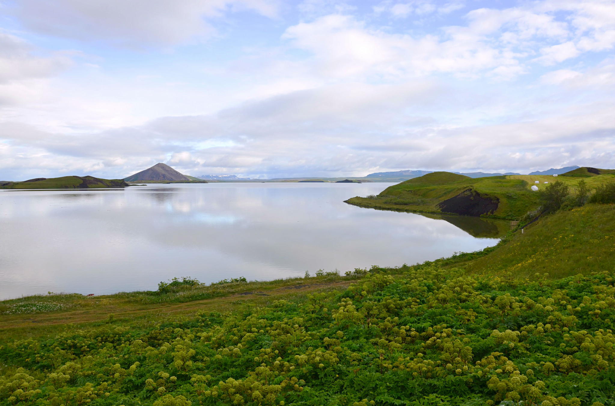 Verde Myvatn