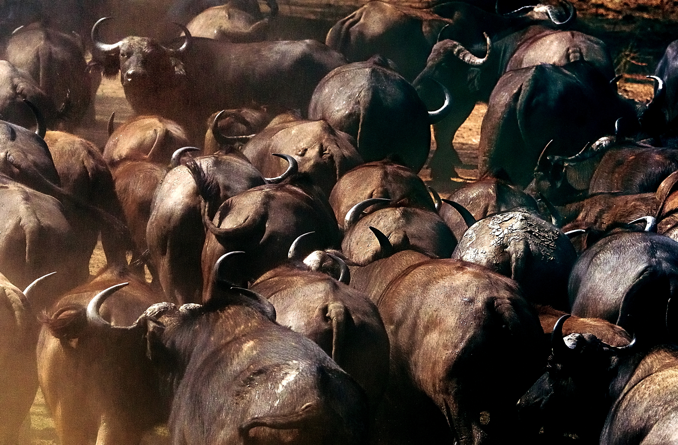 Zambia 2015 - Diverso..