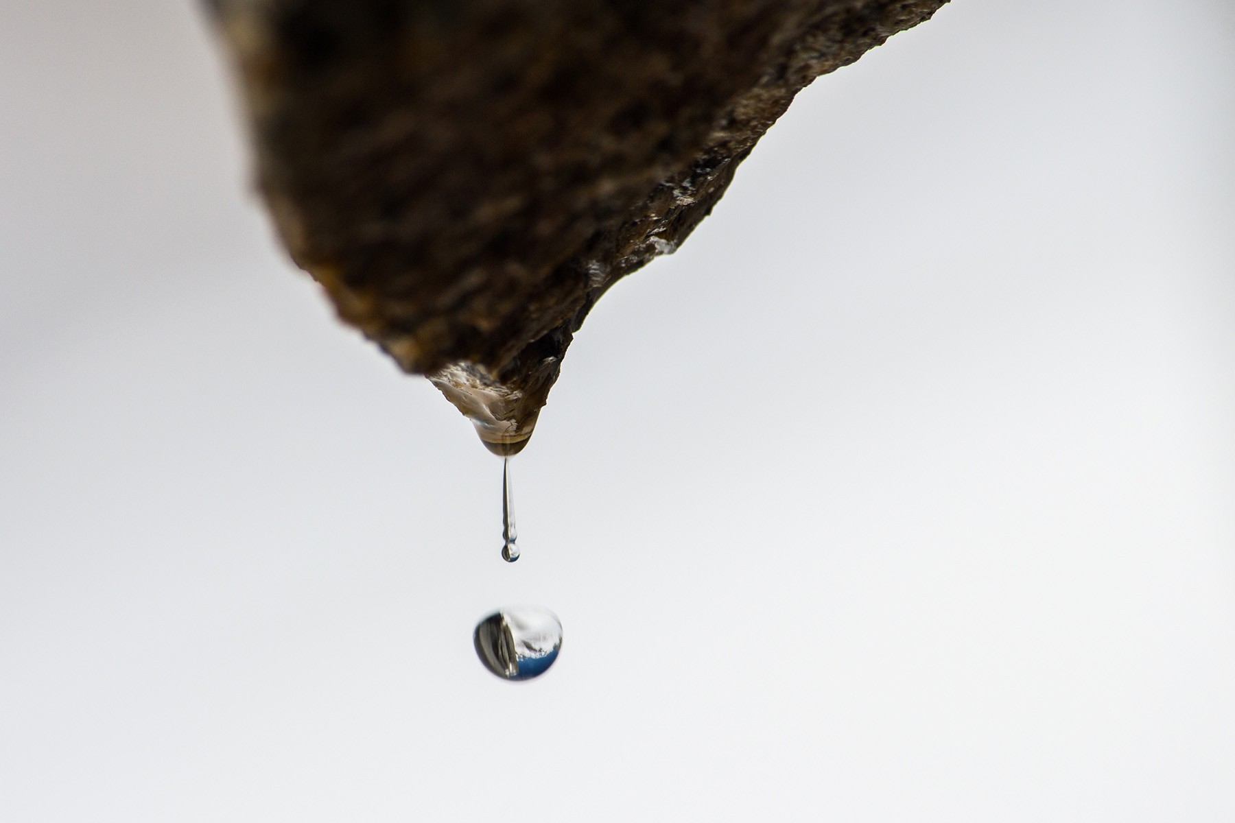 Mont Blanc in a drop