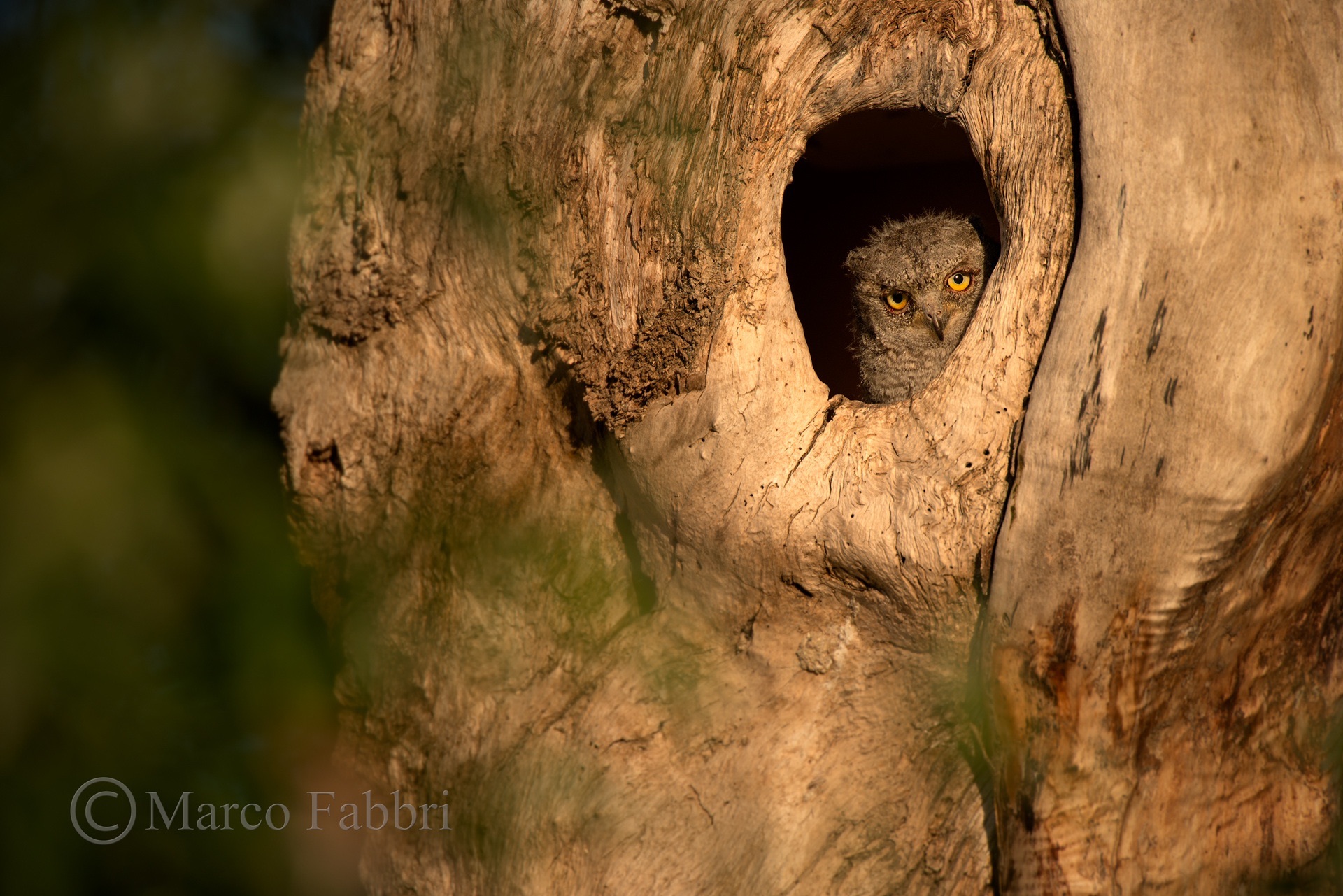 Giovani curiosi crescono