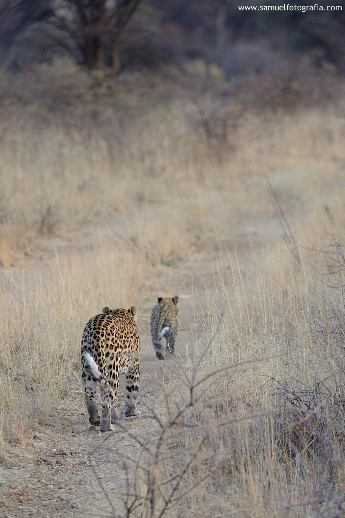 Passeggiata madre e figlio