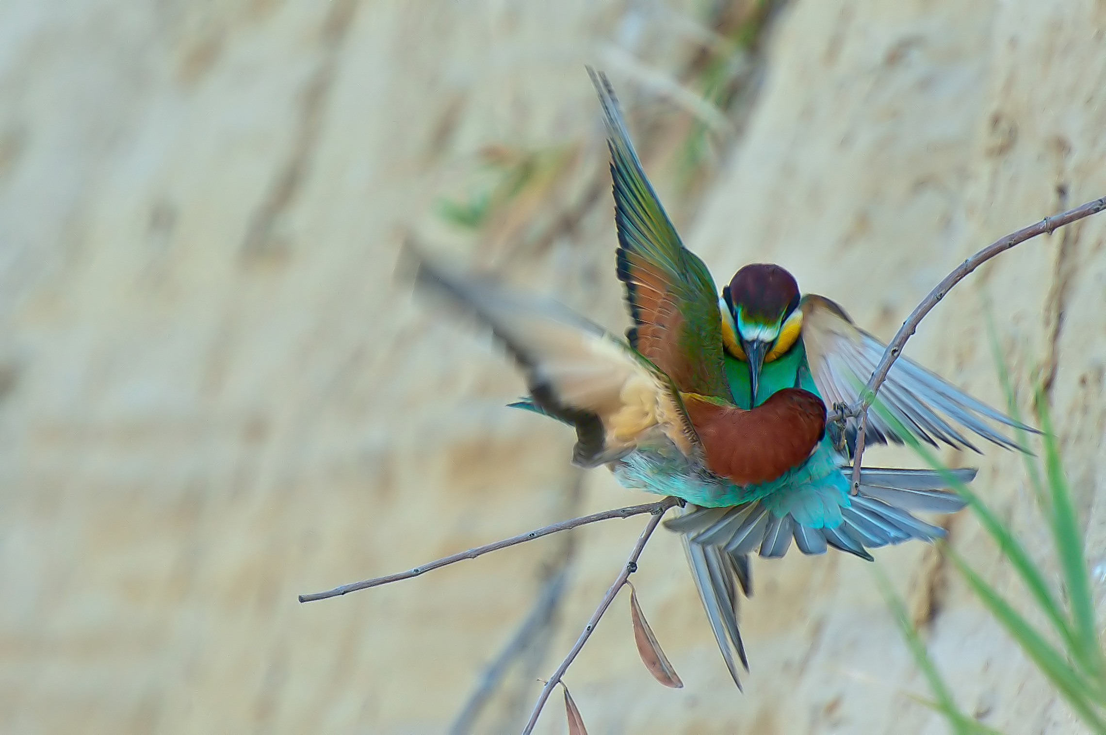 lotta per il territorio.....
