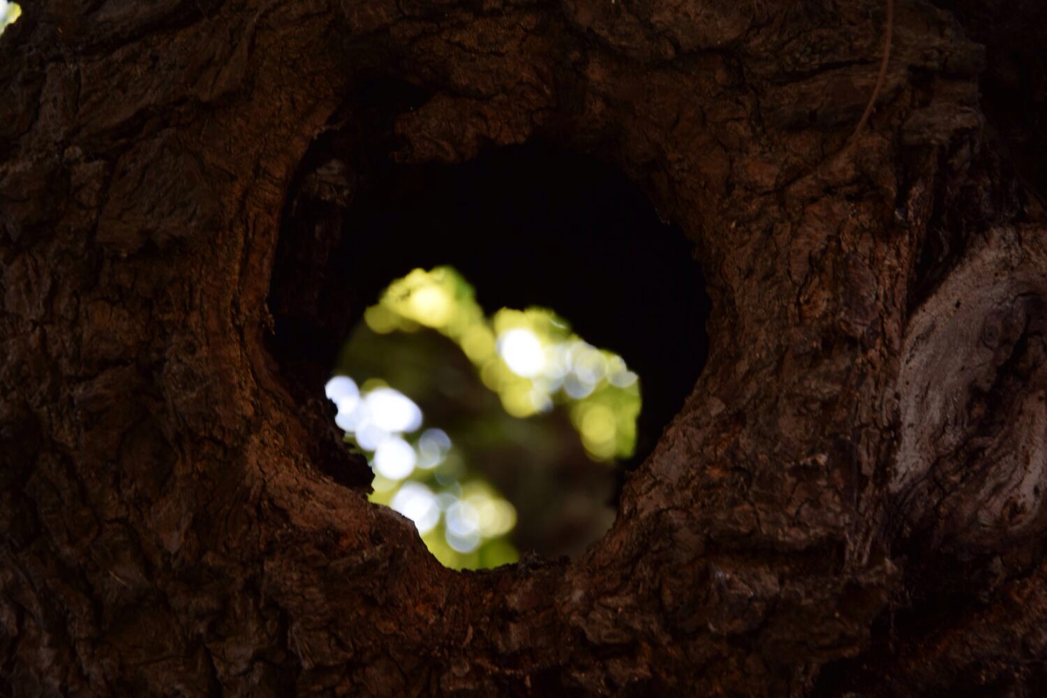 The den of nothingness