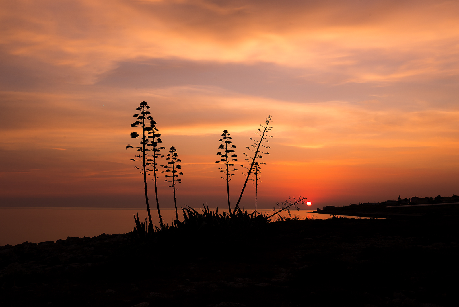 A warm sunset in late summer
