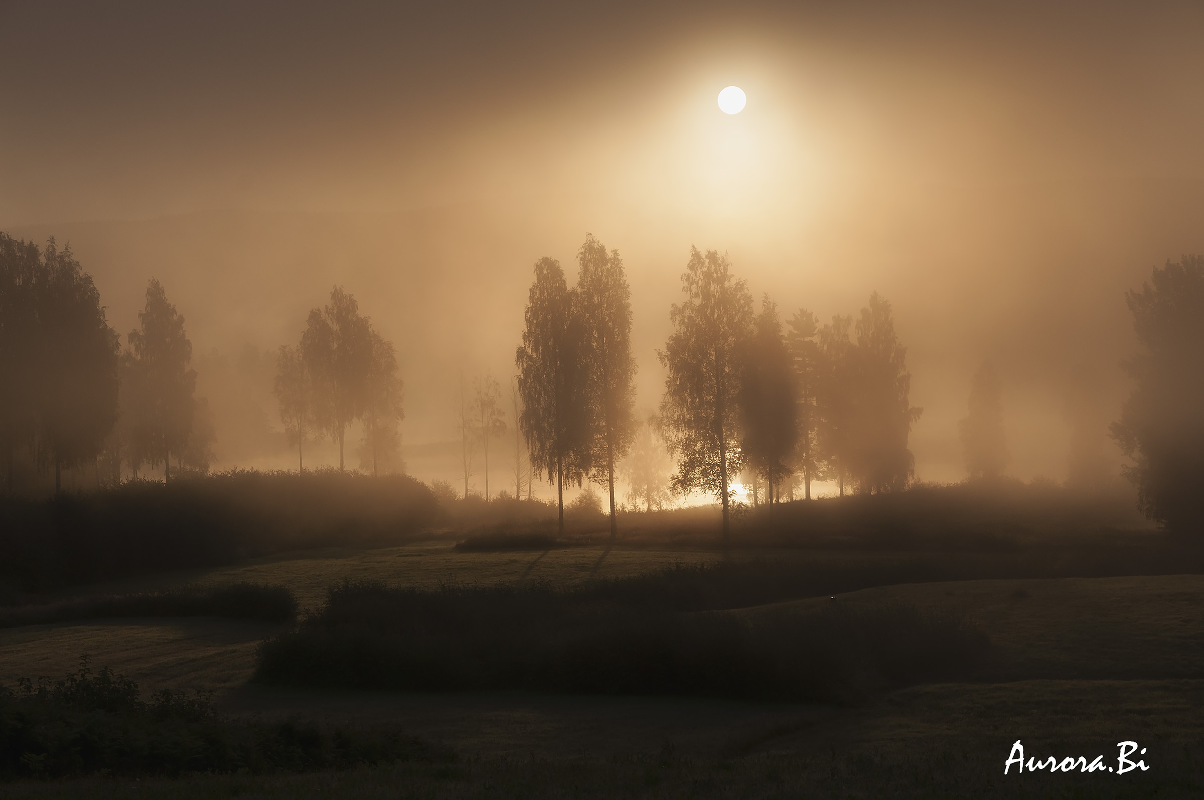 Di mattina, la  nebbia sul lago