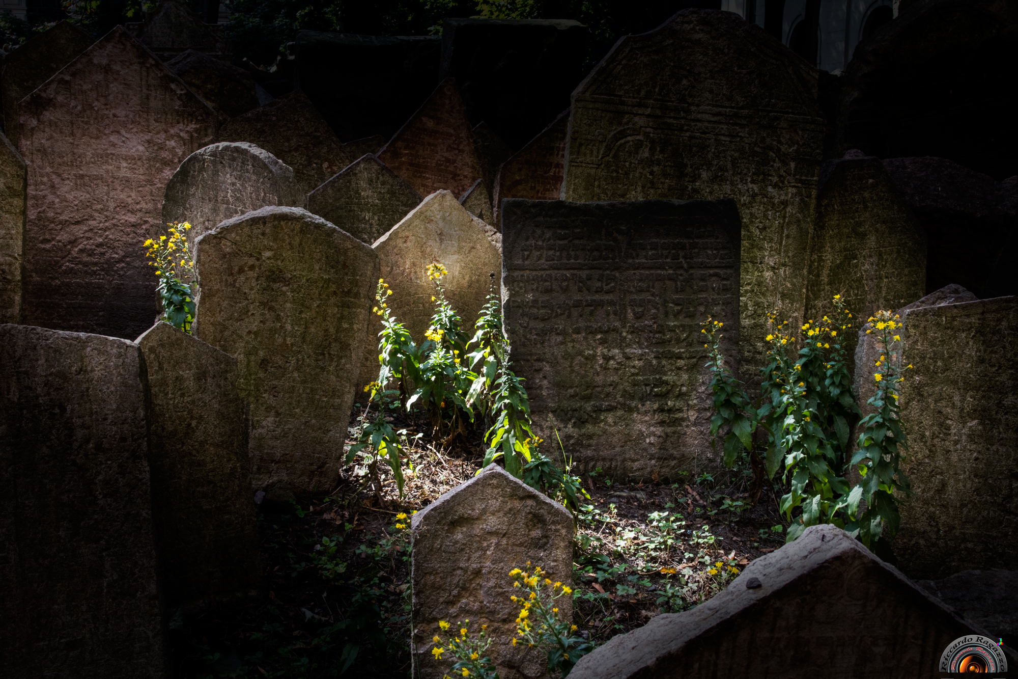 la vita e la morte 2