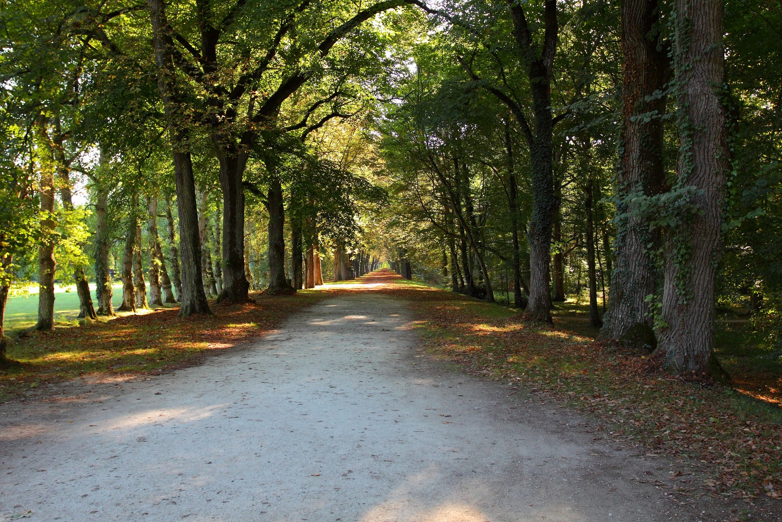 viale Chateau Chenonceau