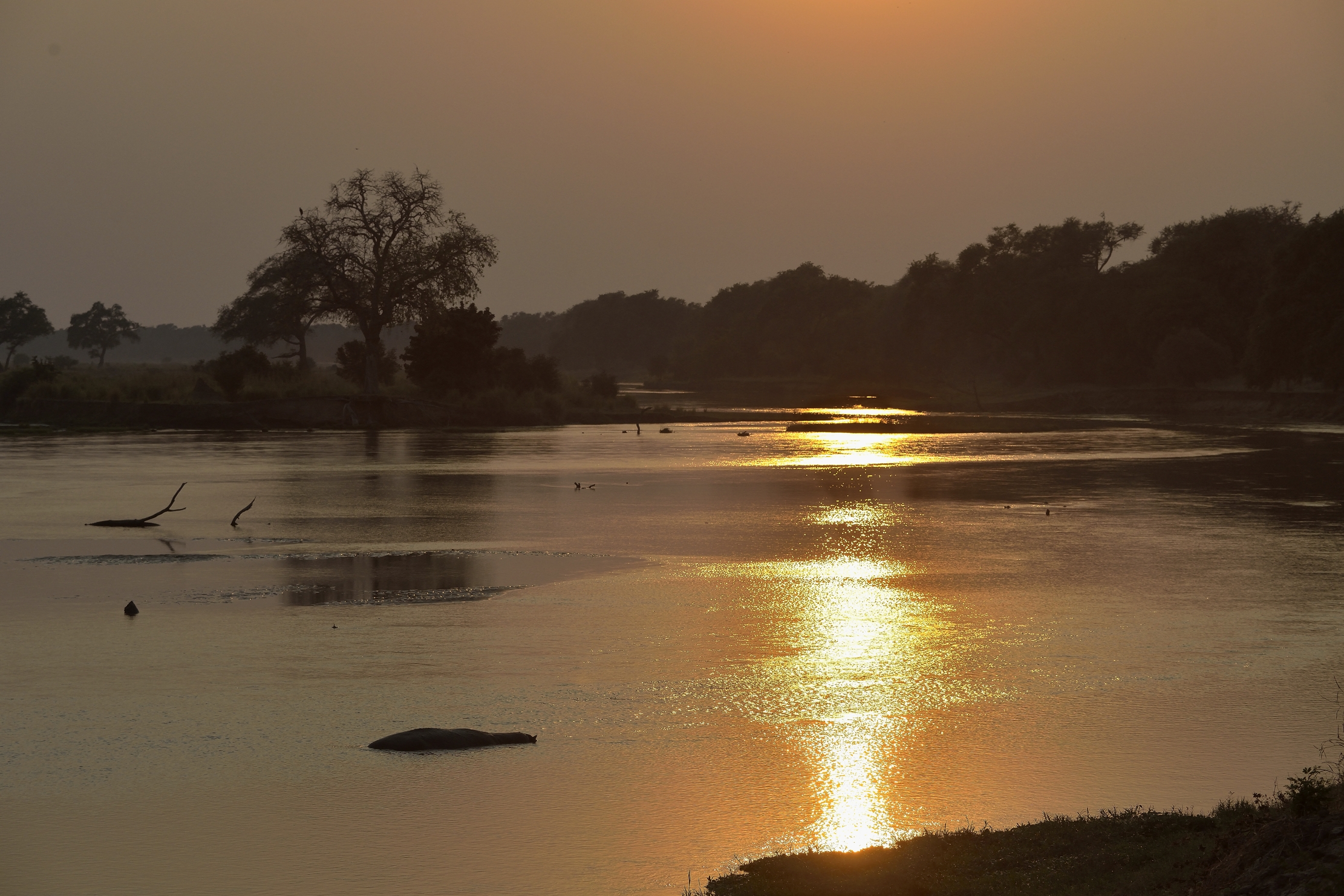 Zimbabwe 2015 - Sullo Zambesi