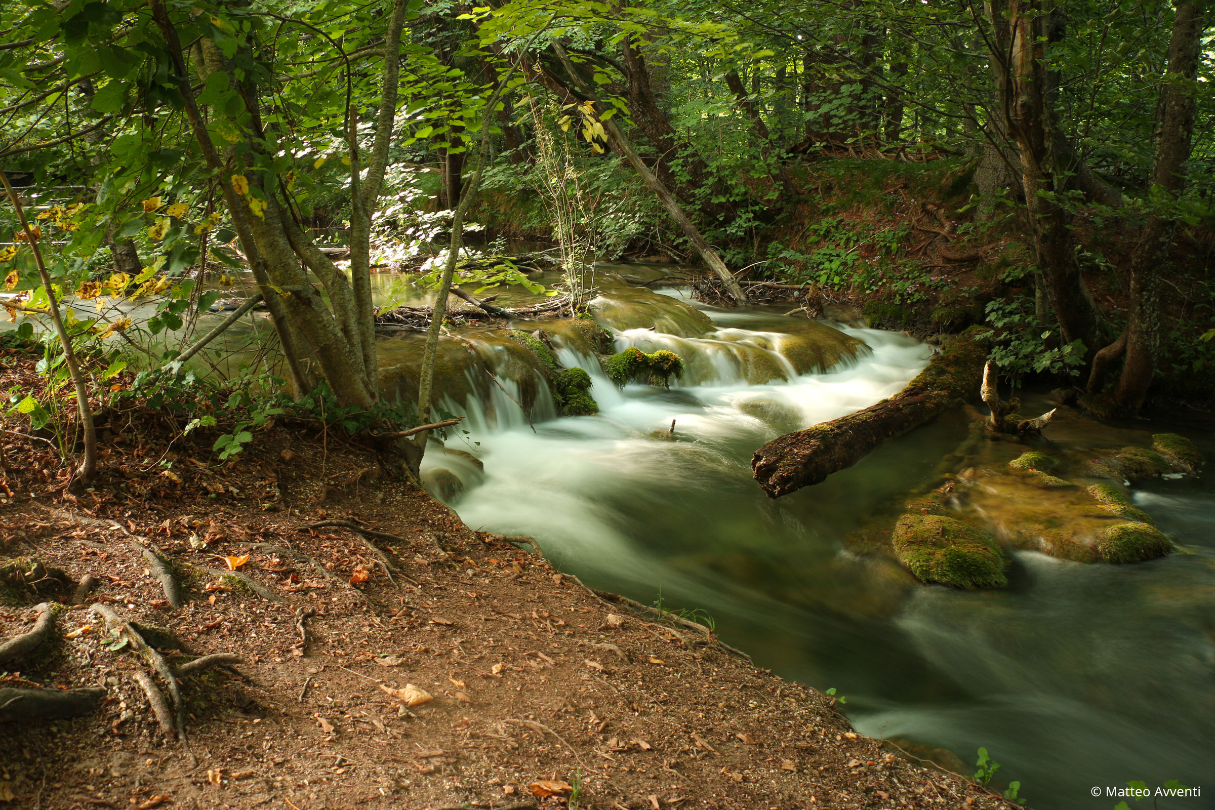 Stream in Plitvice