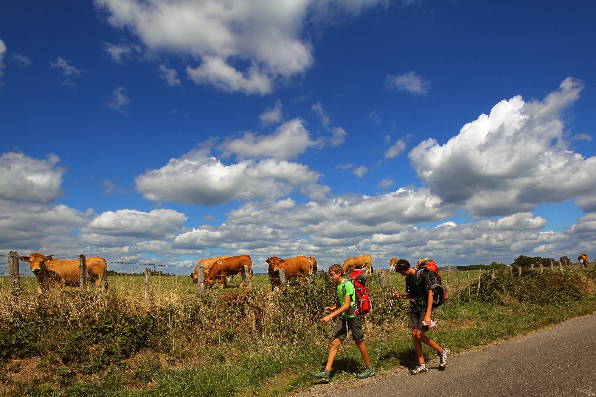 Pilgrims on their way to santiago de Compostela