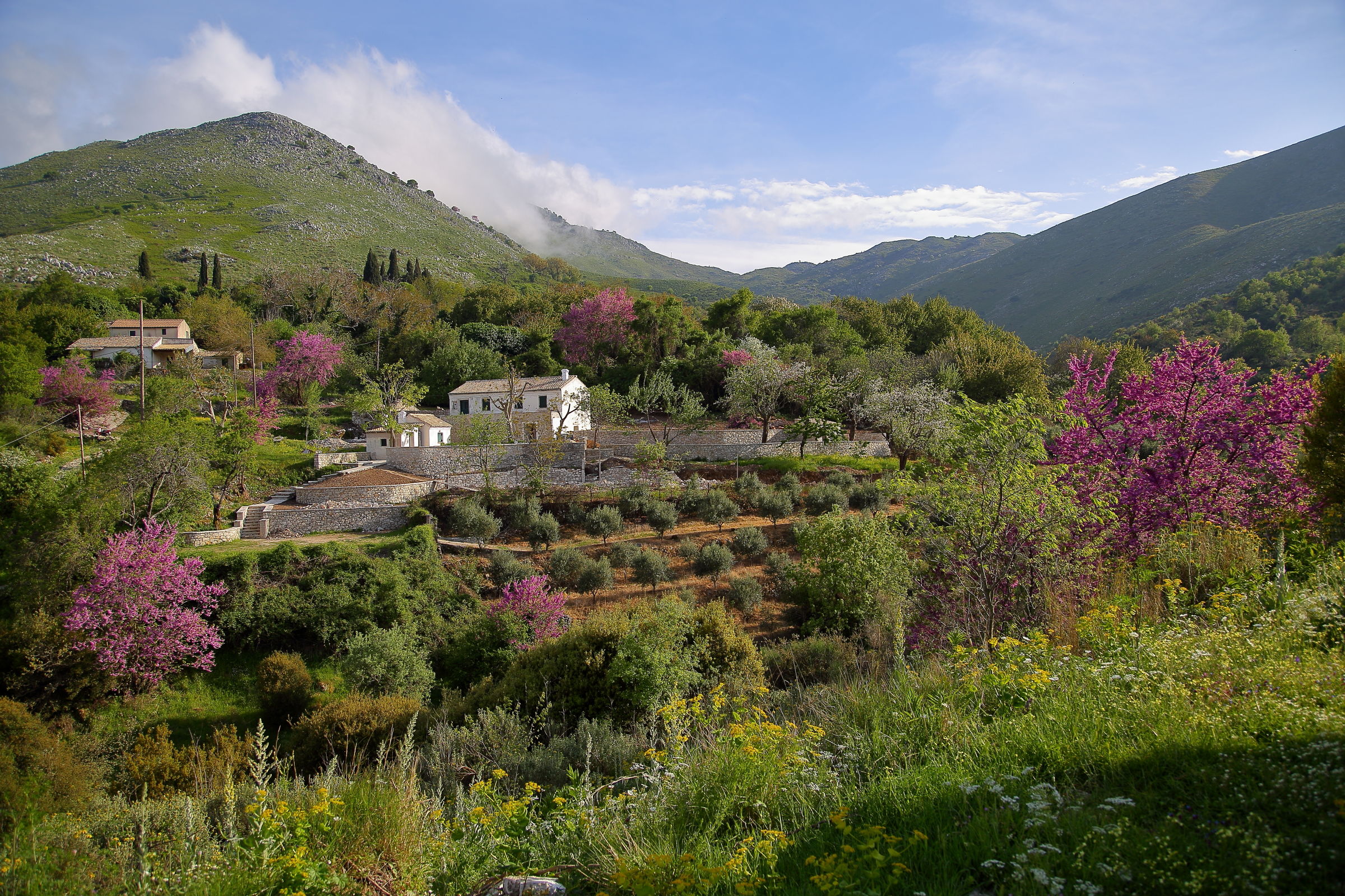 Corfu ... In the mountains