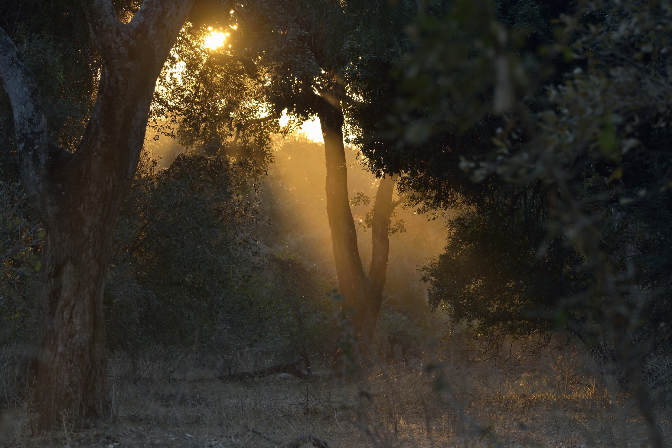 Zimbabwe 2015 - Tramonto  a Mana Polls