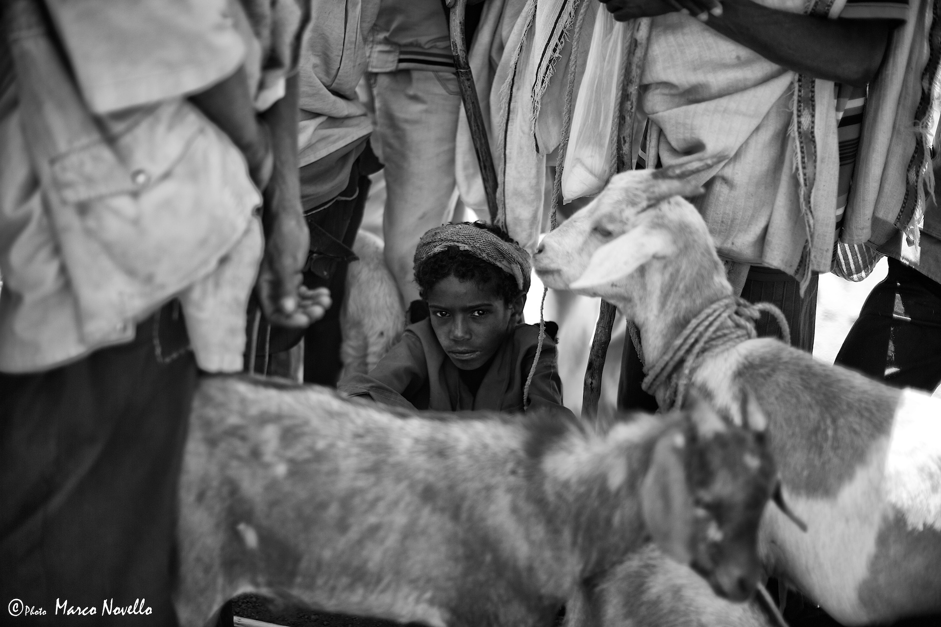 Io...e gli altri (compreso le capre)