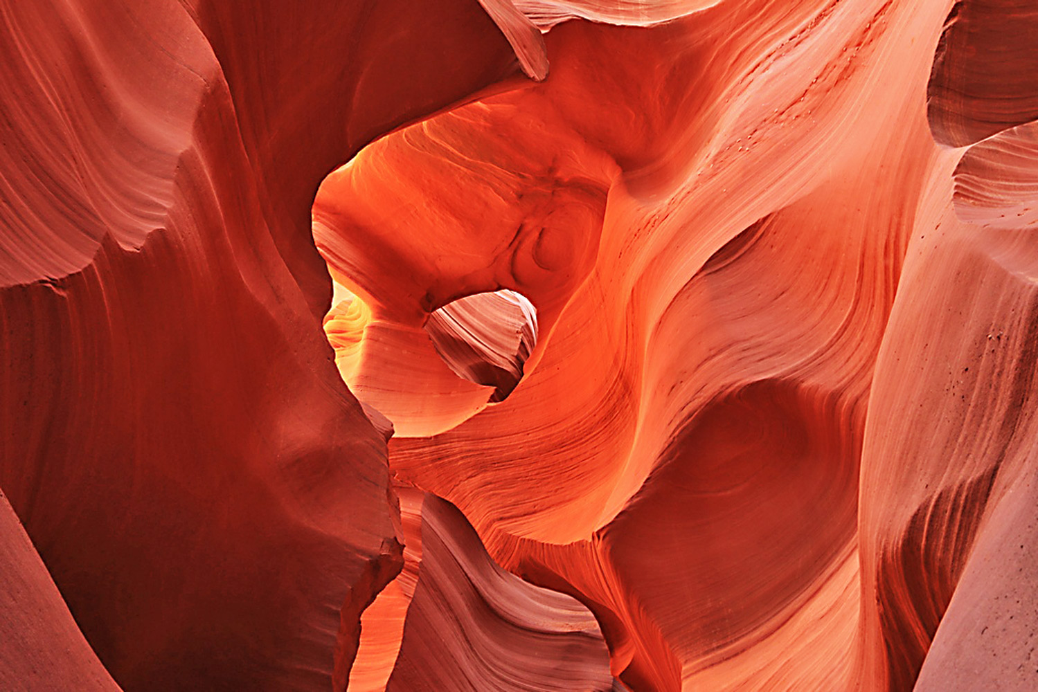 Sculture della natura