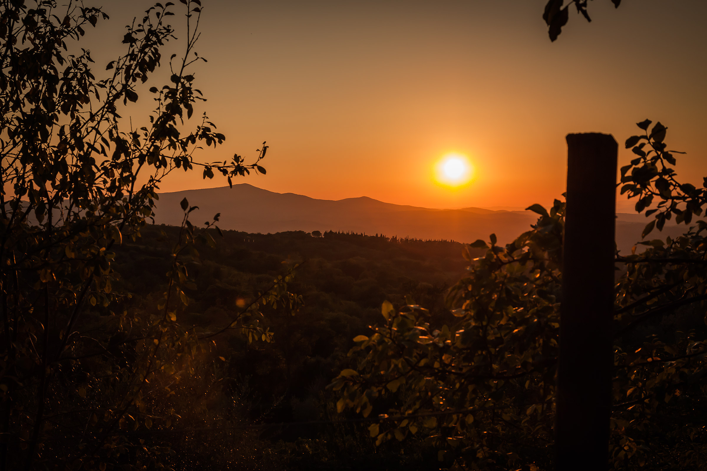 Sunset of Maremma.