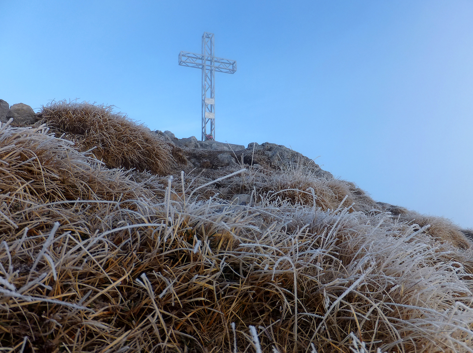 Fili d'erba ricoperti di brina