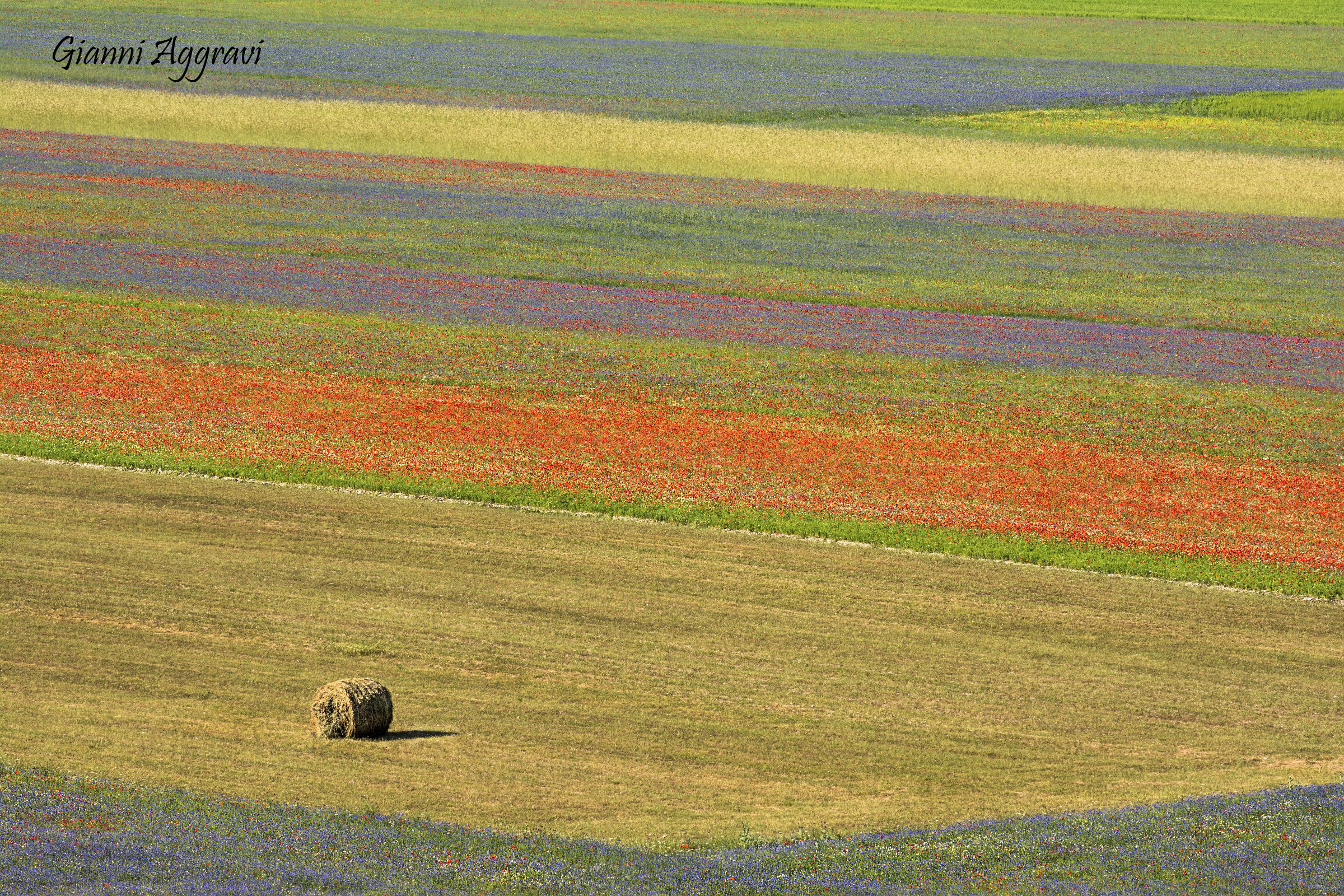 ed è già nostalgia.....