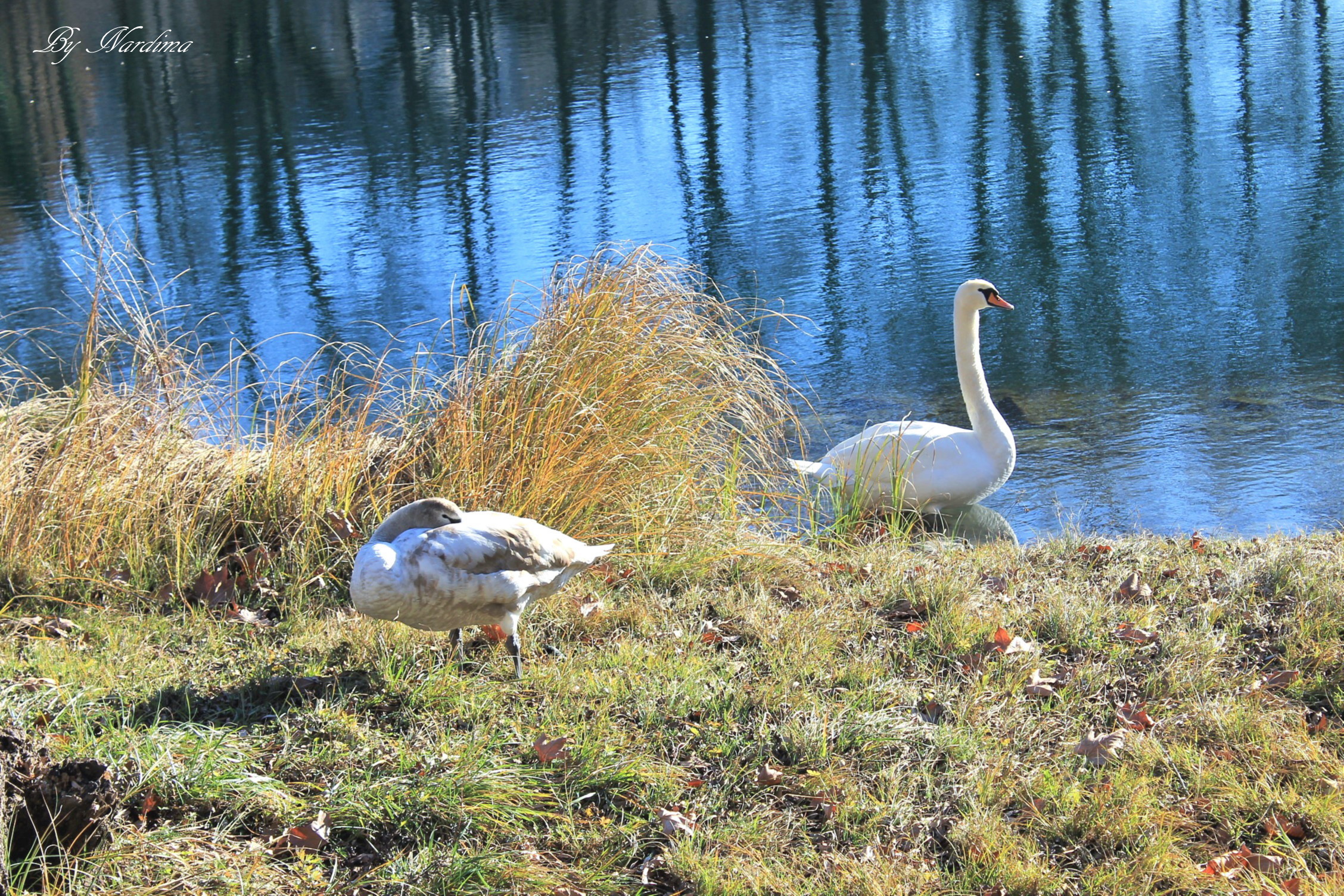 Preparing for the bathroom